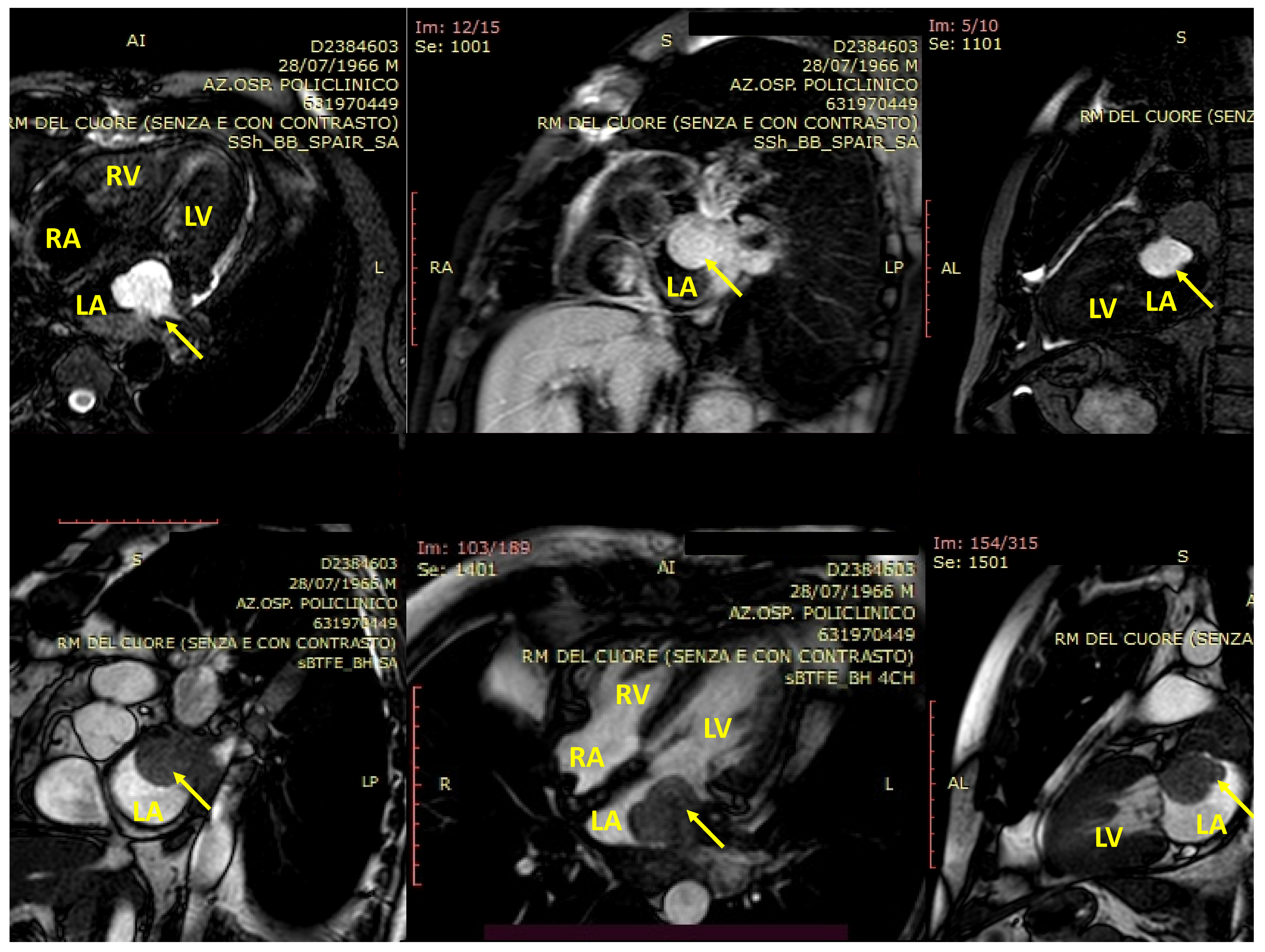 Biomedicines 09 00774 g002