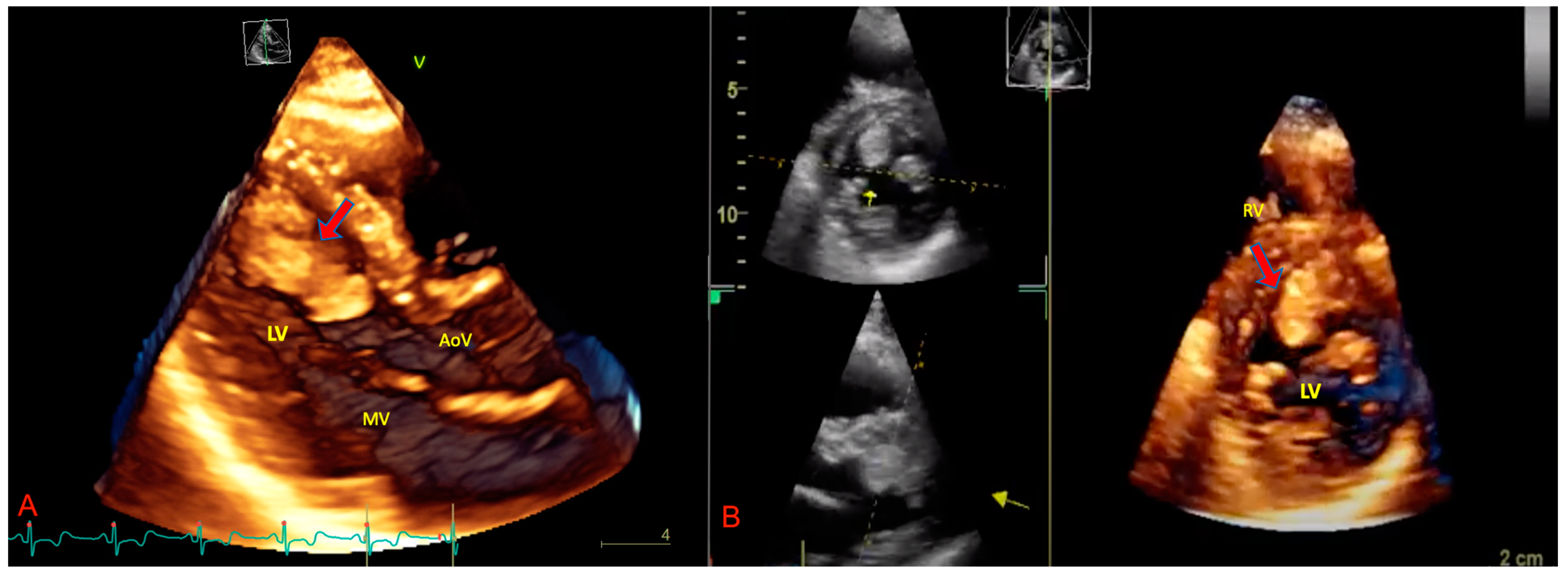 Biomedicines 09 00774 g003