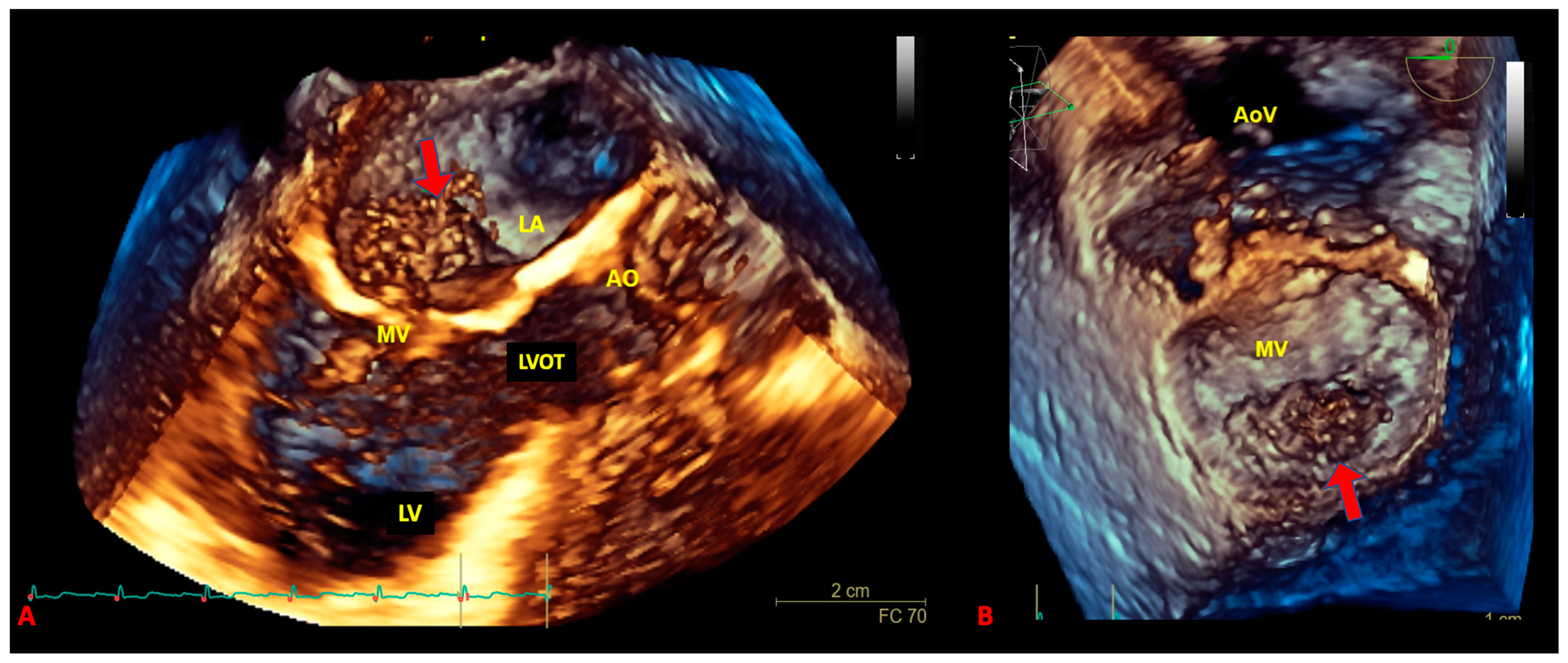 Biomedicines 09 00774 g004