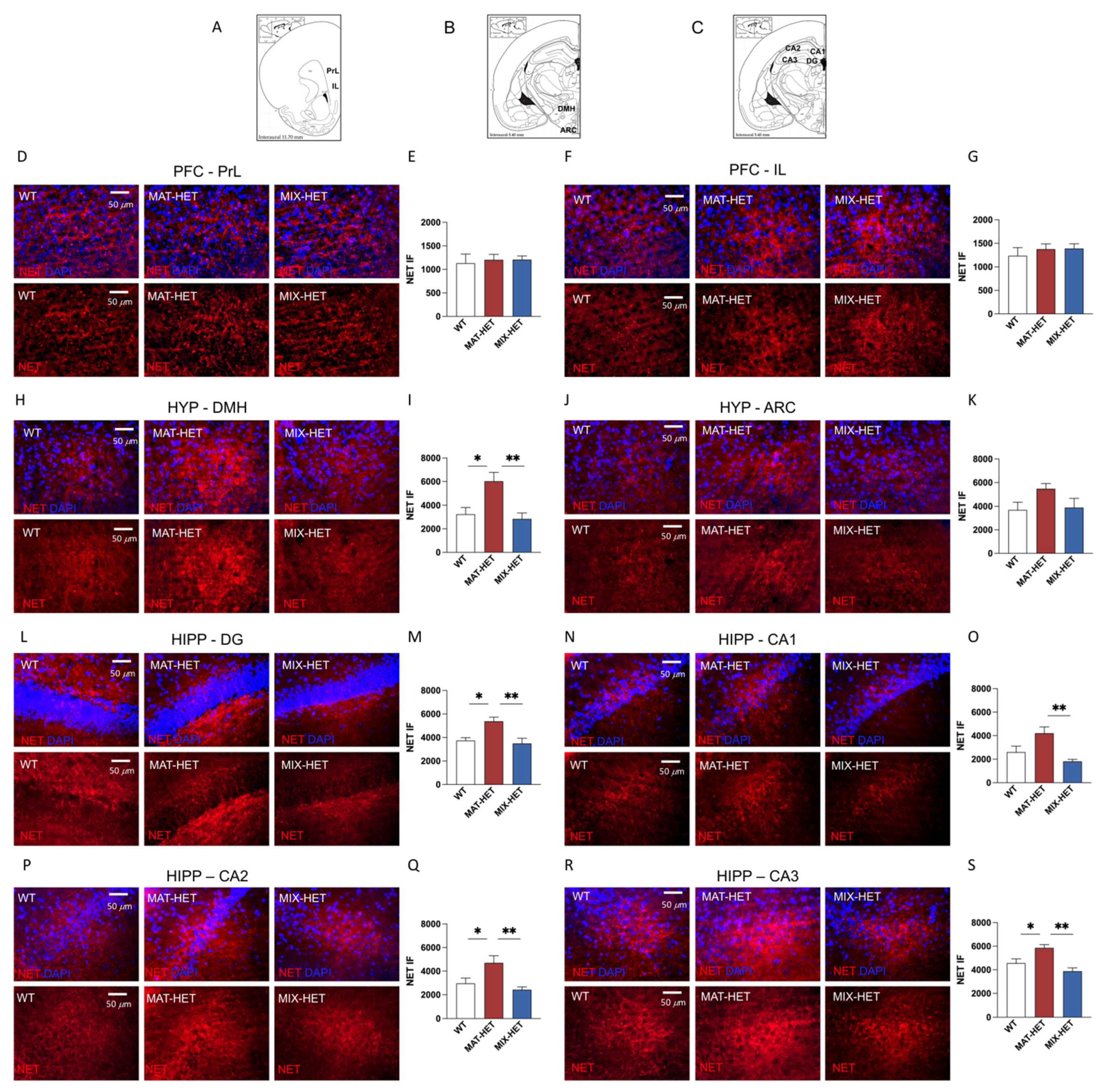 Biomedicines 09 00778 g004