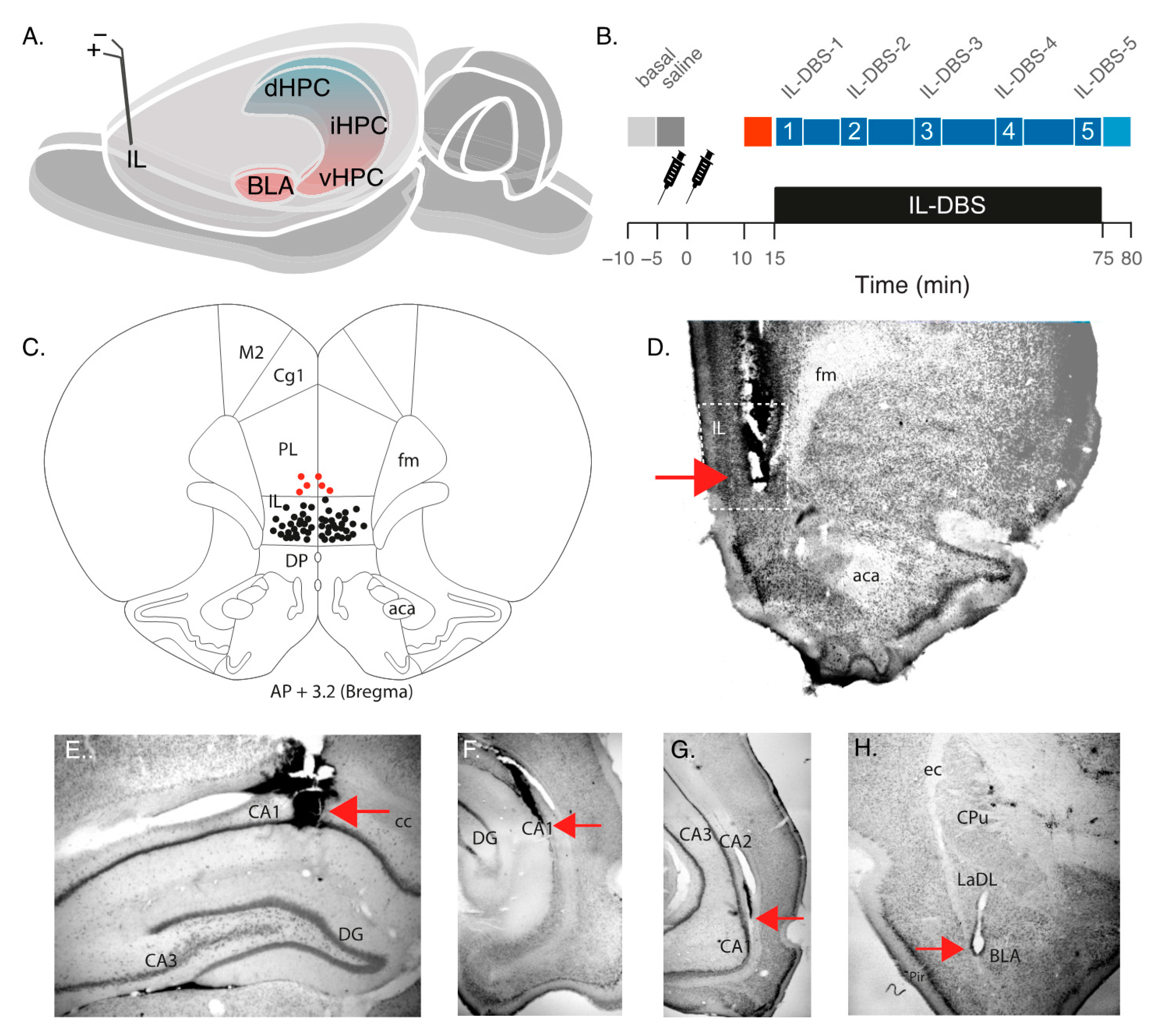Biomedicines 09 00783 g001 Biomedicines 09 00783 g001