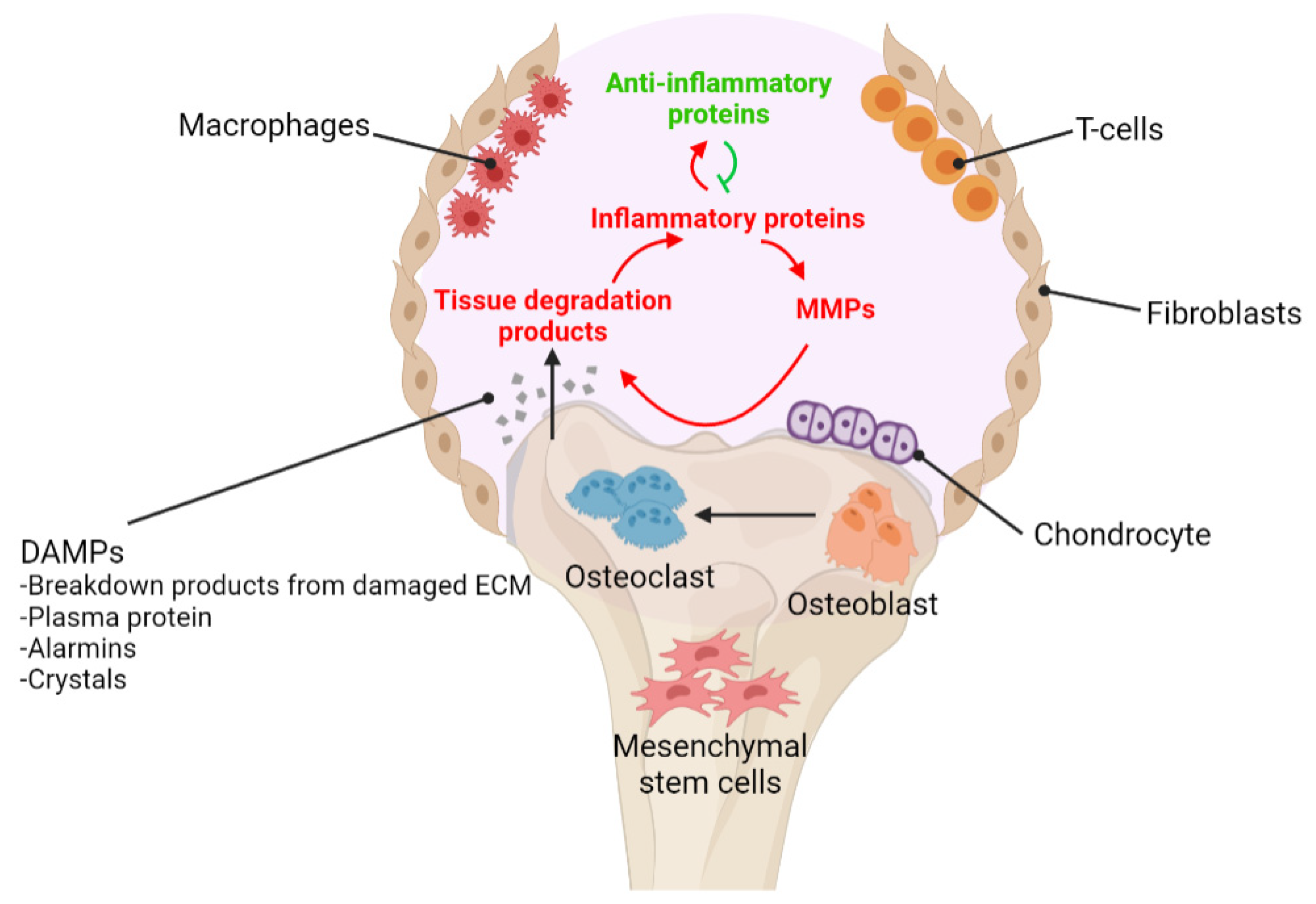 Biomedicines 09 00785 g001