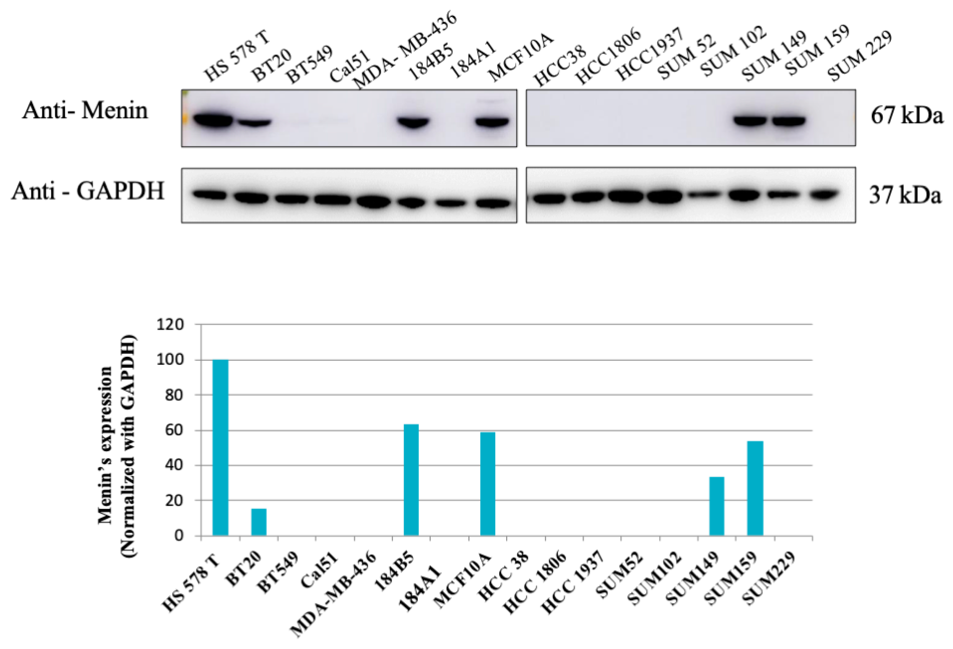 Biomedicines 09 00795 g001