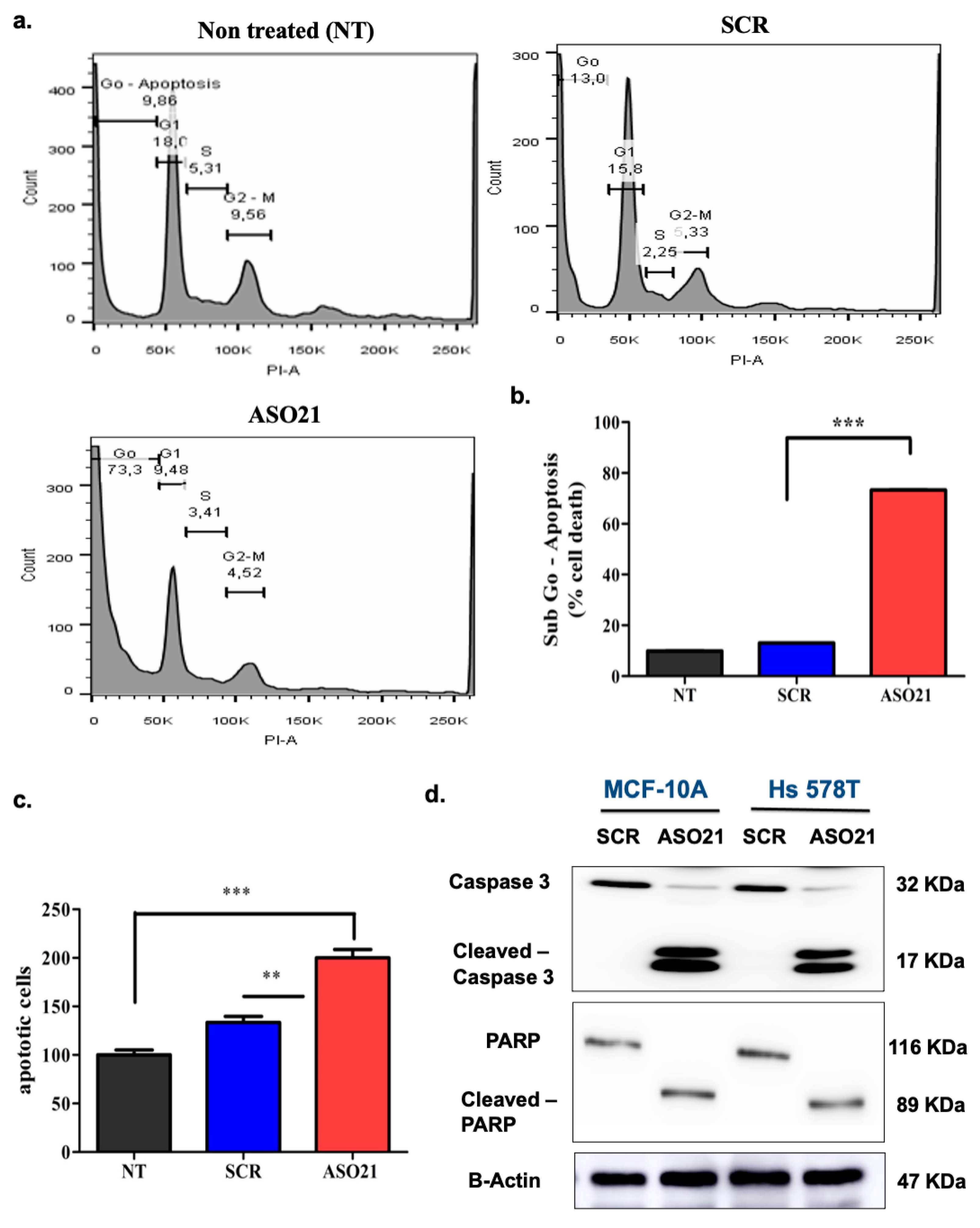 Biomedicines 09 00795 g004