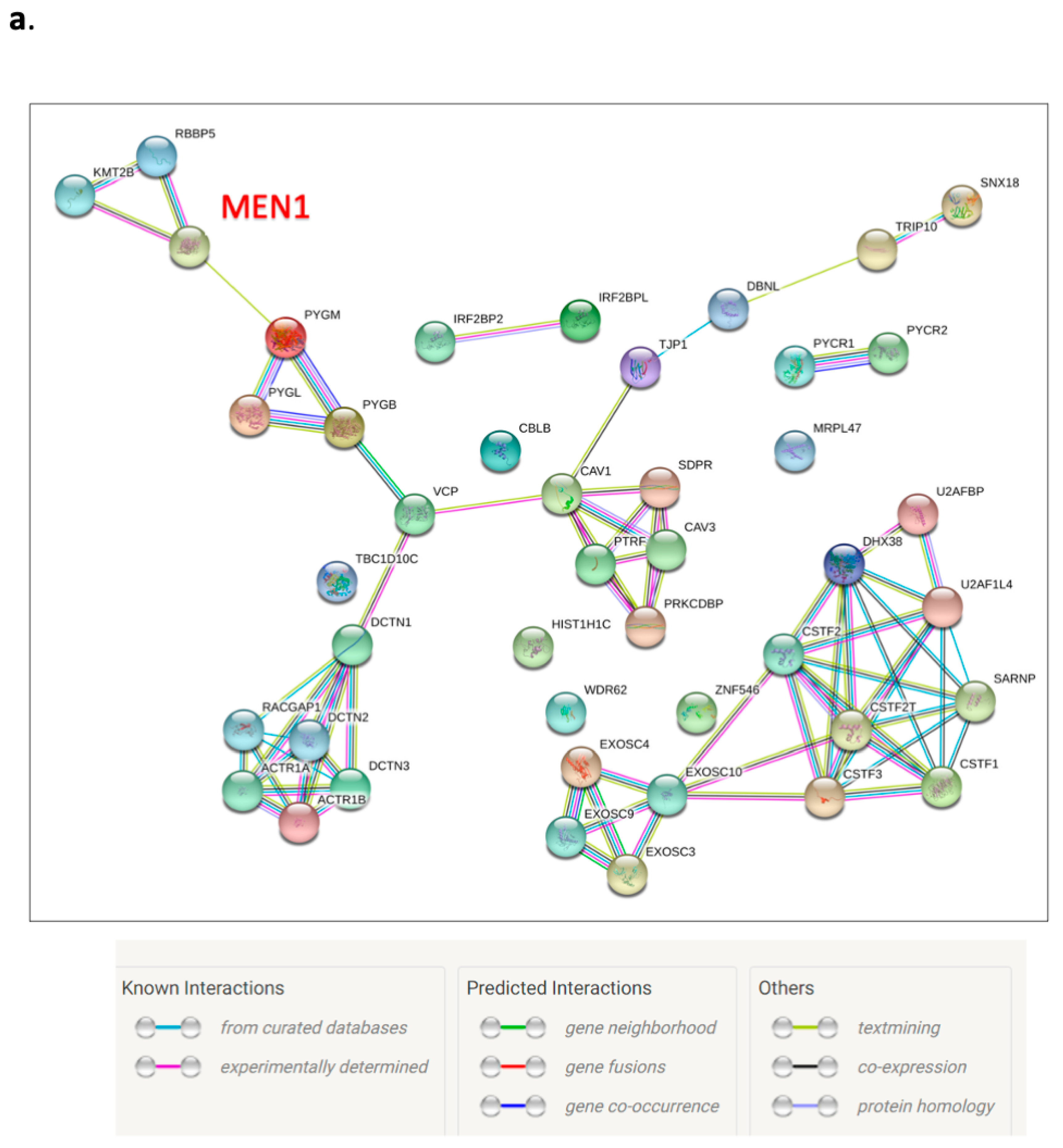 Biomedicines 09 00795 g006a