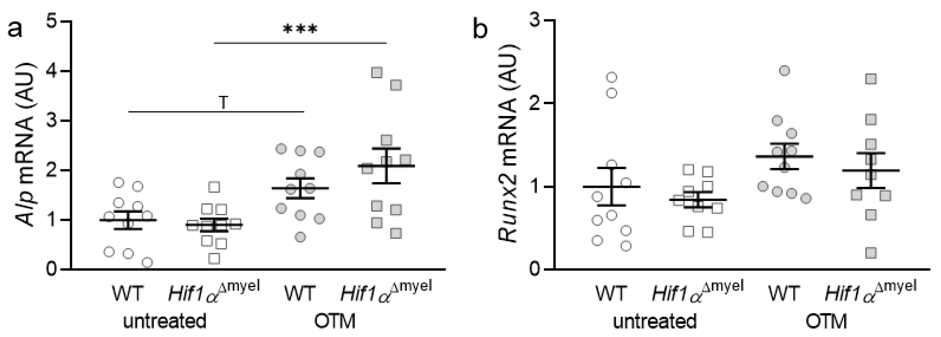 Biomedicines 09 00796 g001