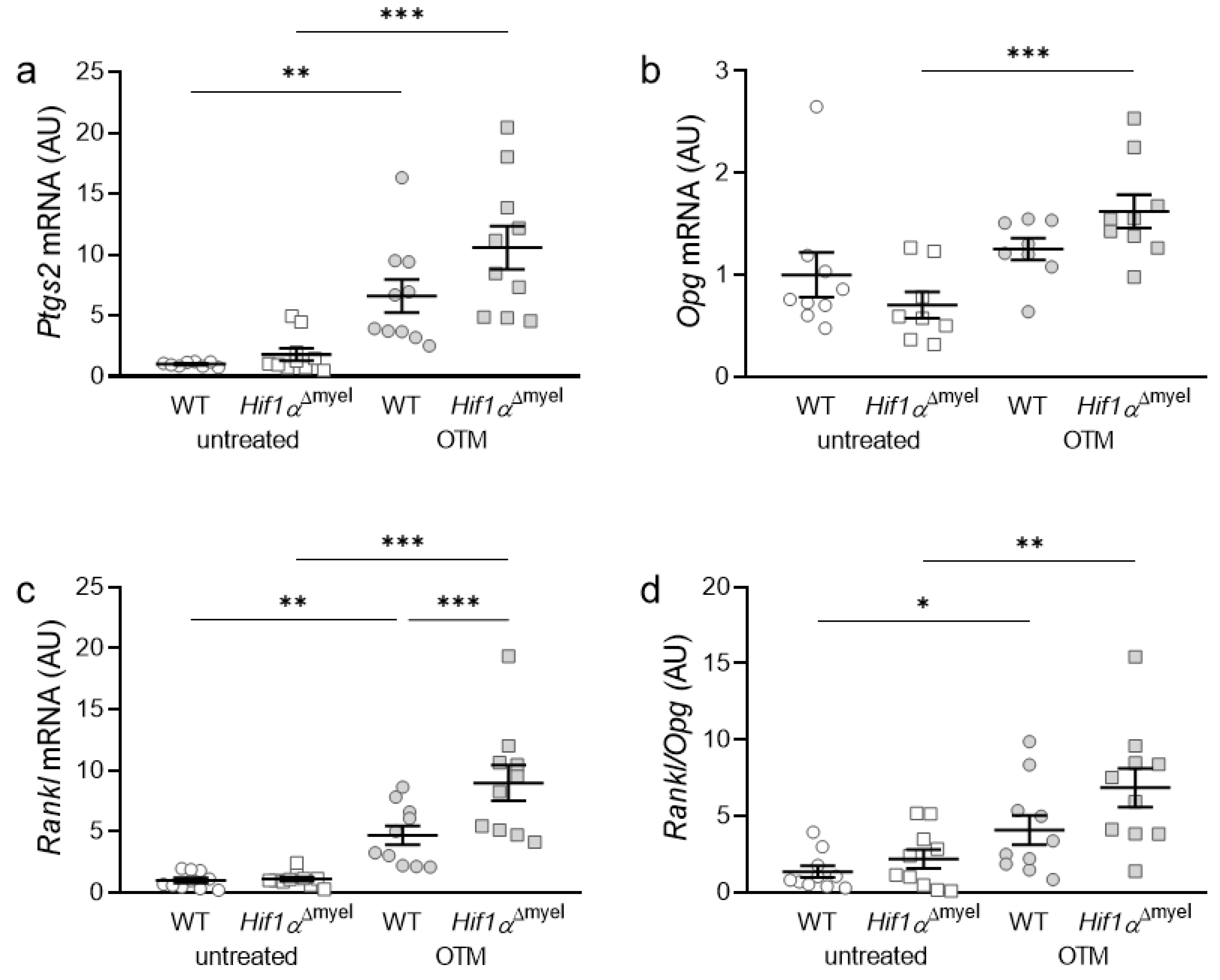 Biomedicines 09 00796 g002