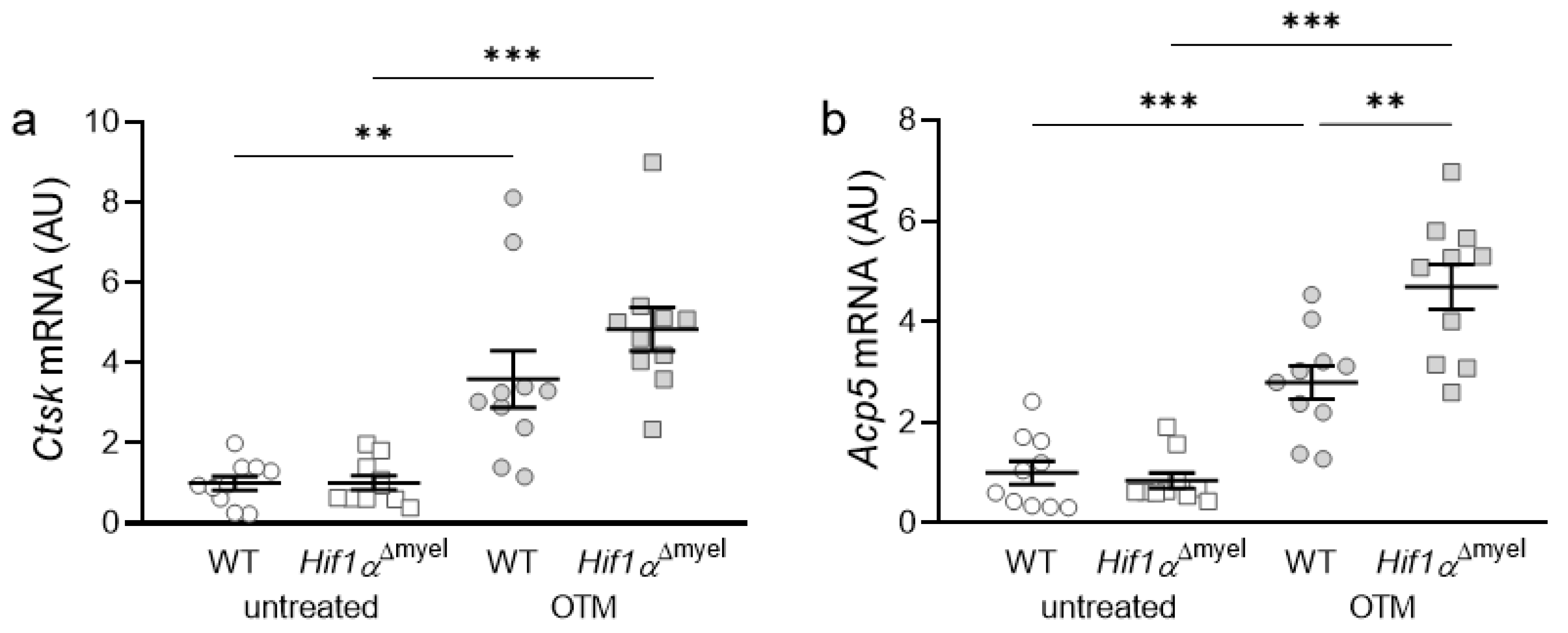 Biomedicines 09 00796 g003