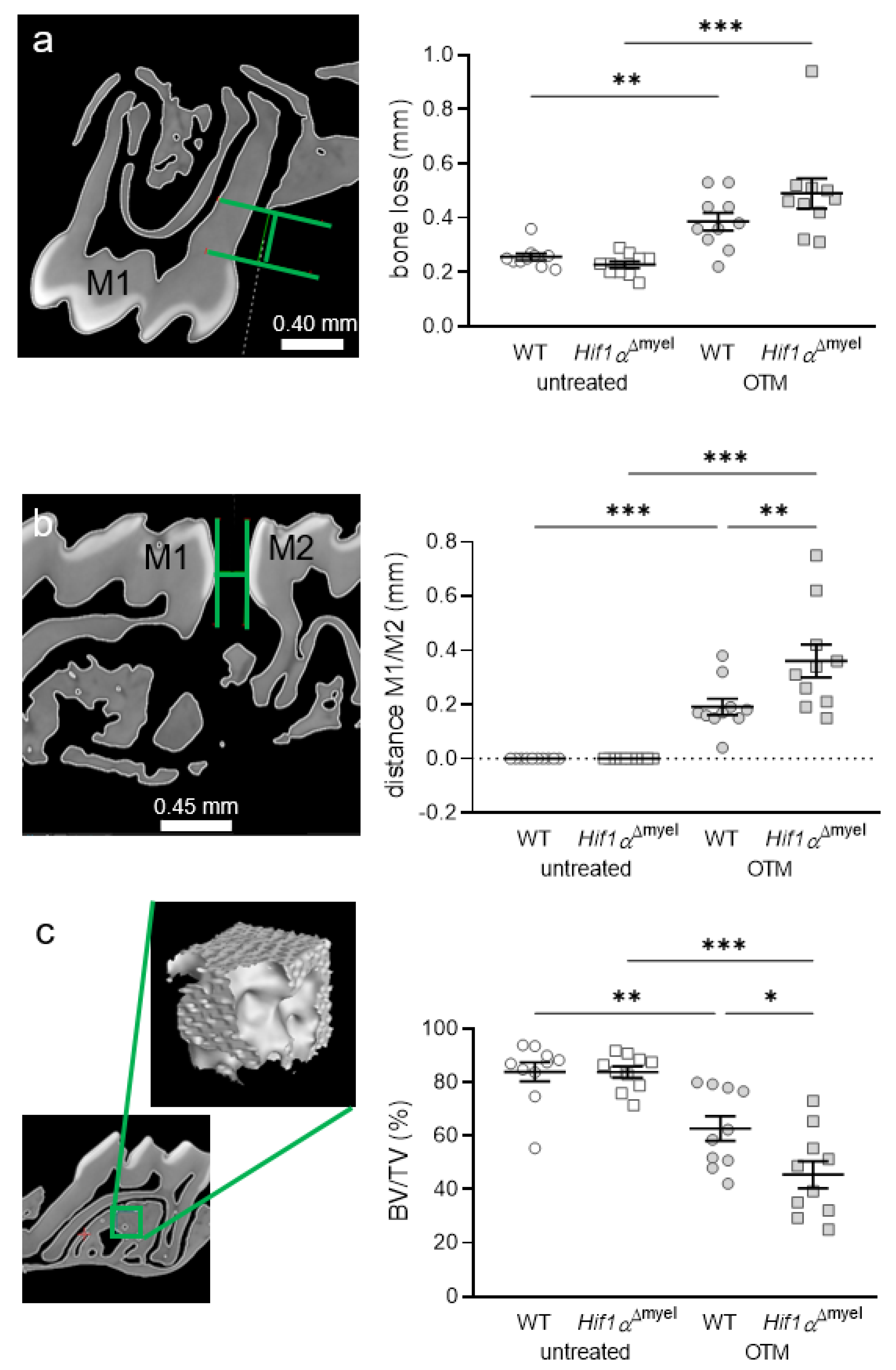 Biomedicines 09 00796 g004
