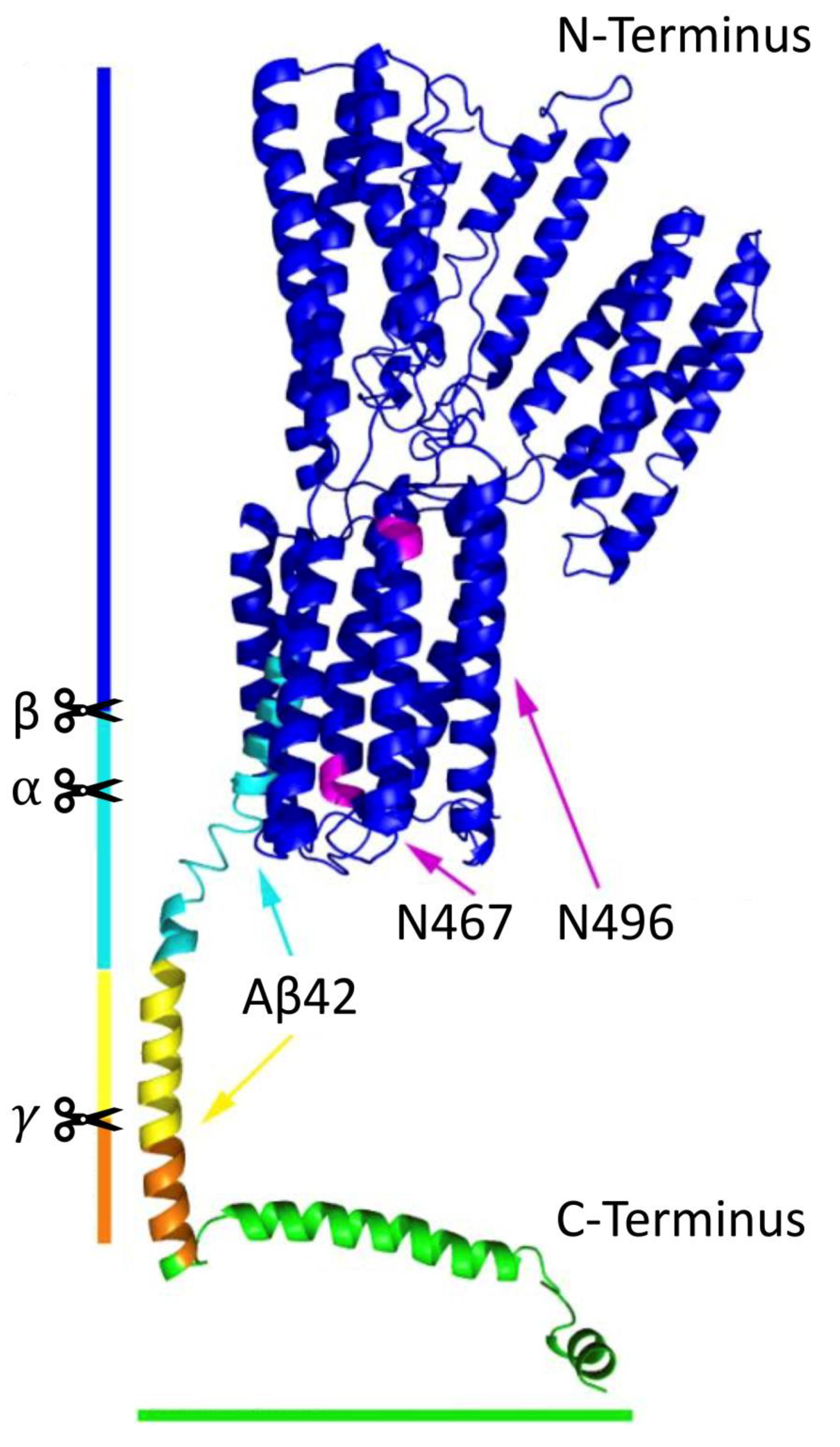 Biomedicines 09 00801 g001 Biomedicines 09 00801 g001