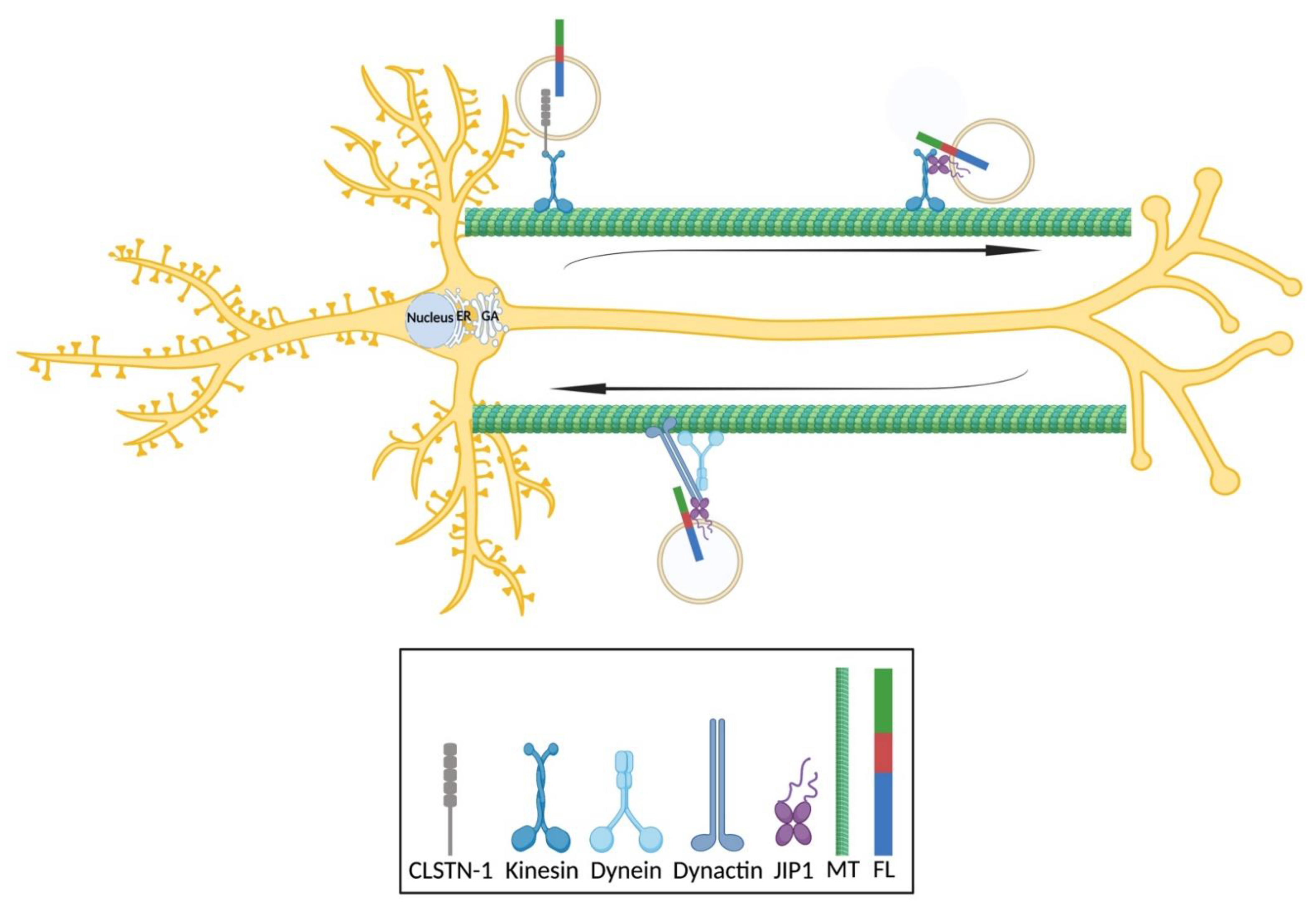 Biomedicines 09 00801 g003 Biomedicines 09 00801 g003