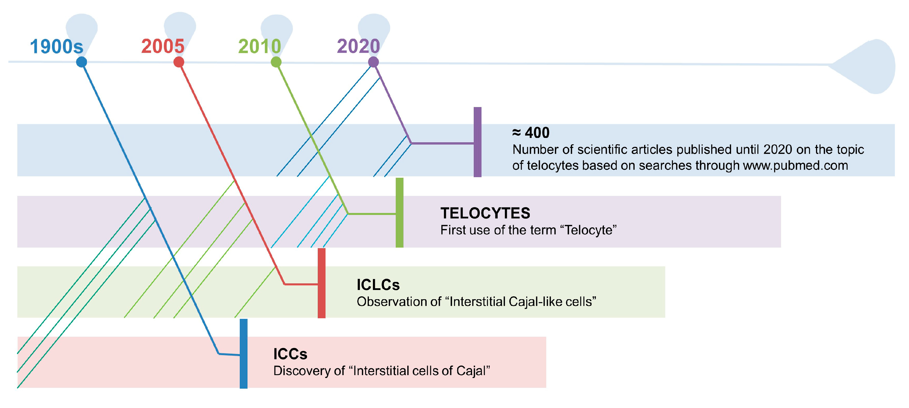 Biomedicines 09 00807 g001