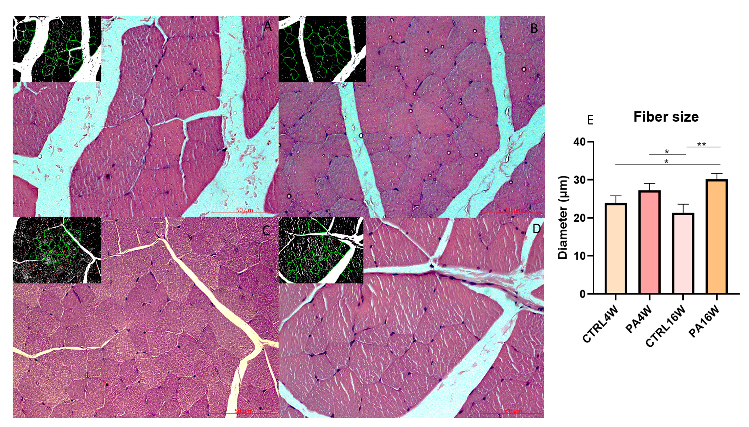 Biomedicines 09 00807 g004