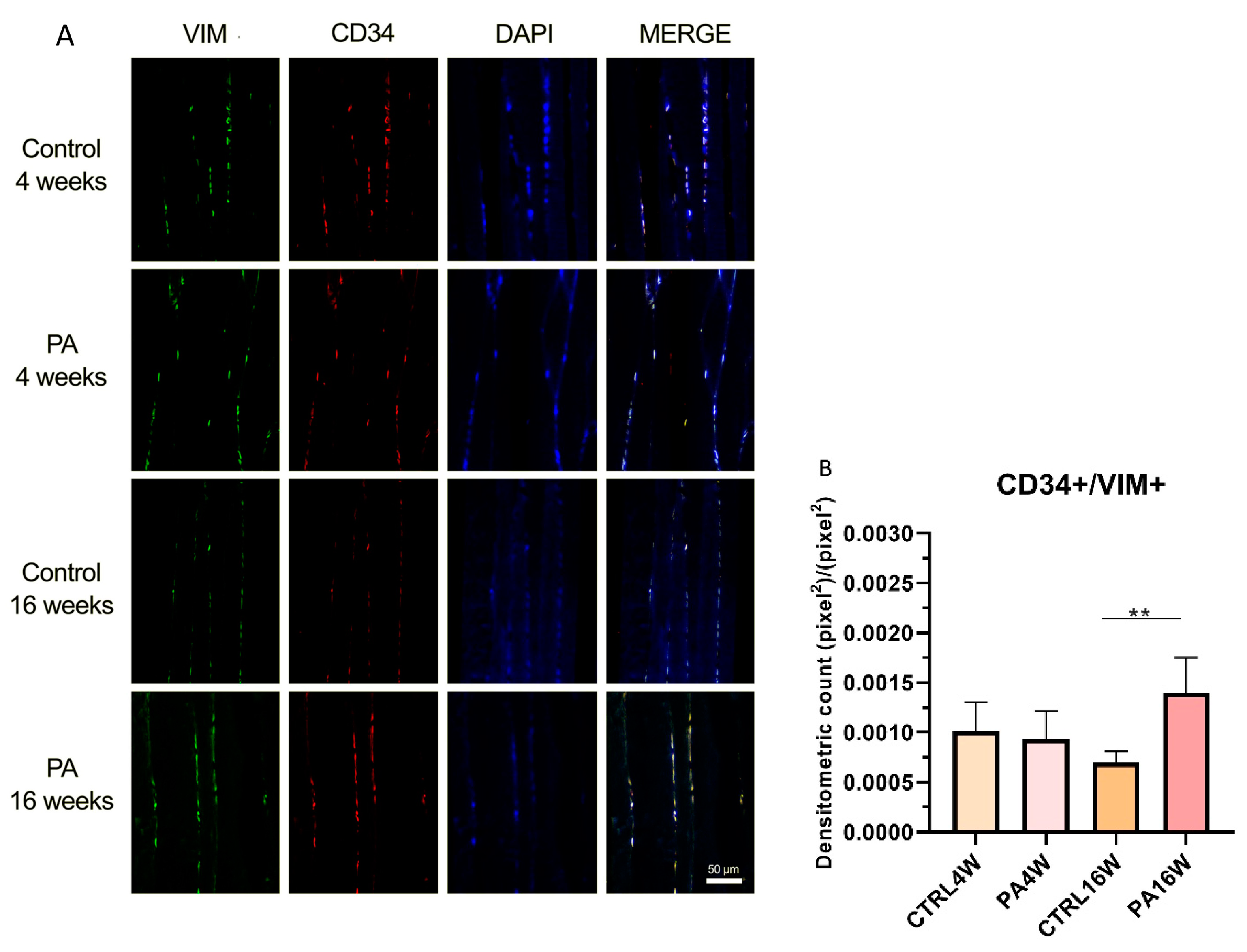 Biomedicines 09 00807 g006