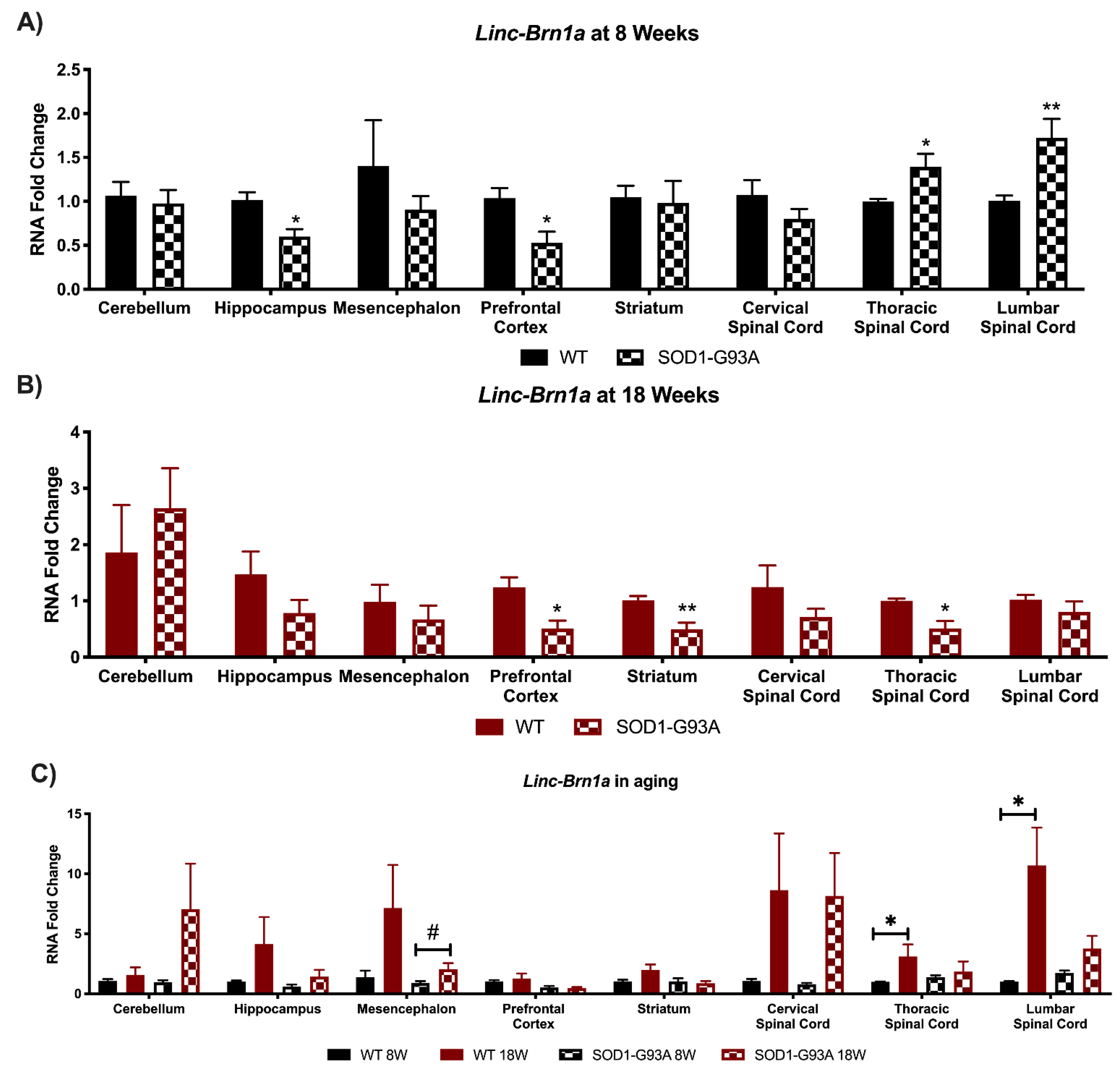 Biomedicines 09 00809 g001