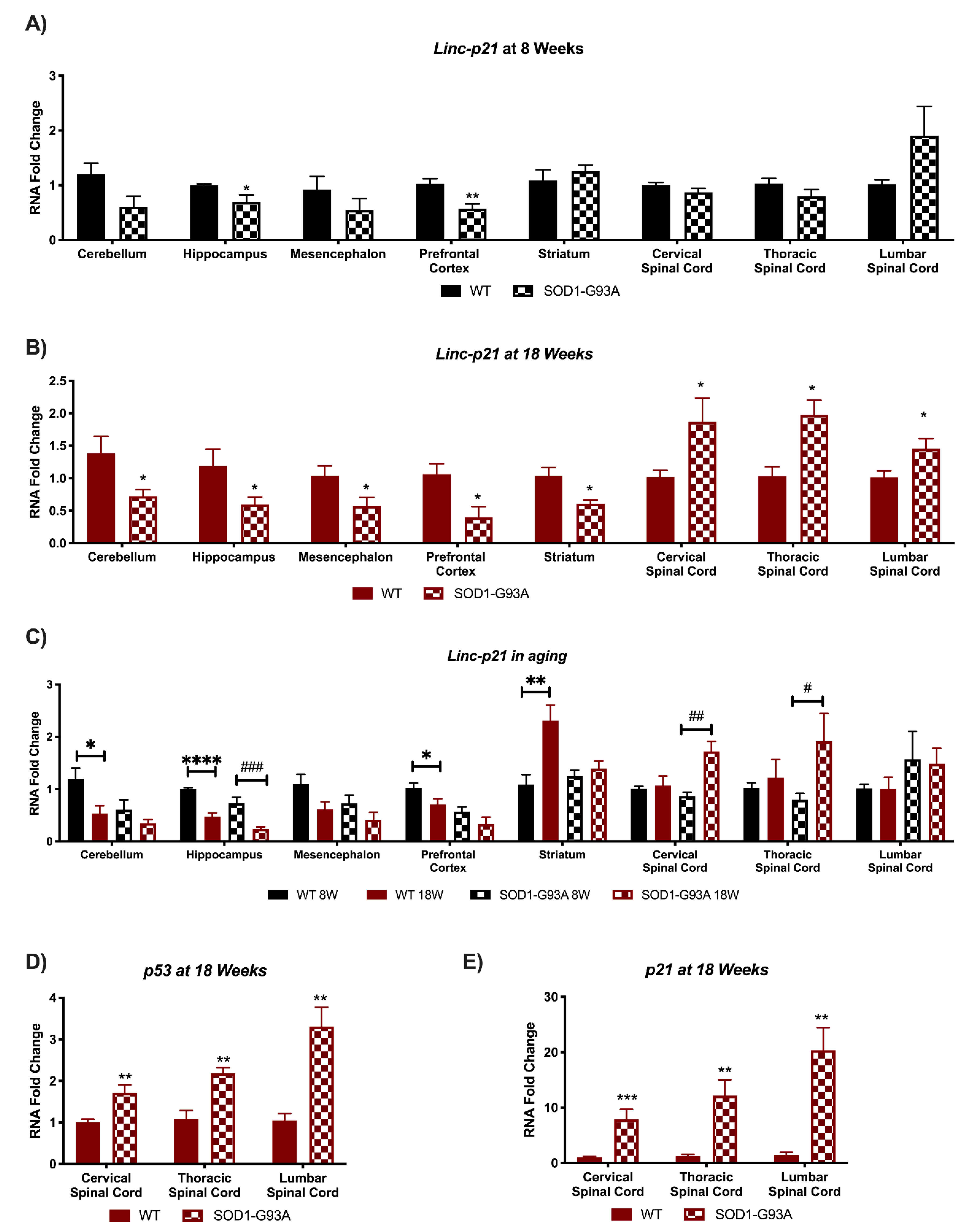 Biomedicines 09 00809 g003