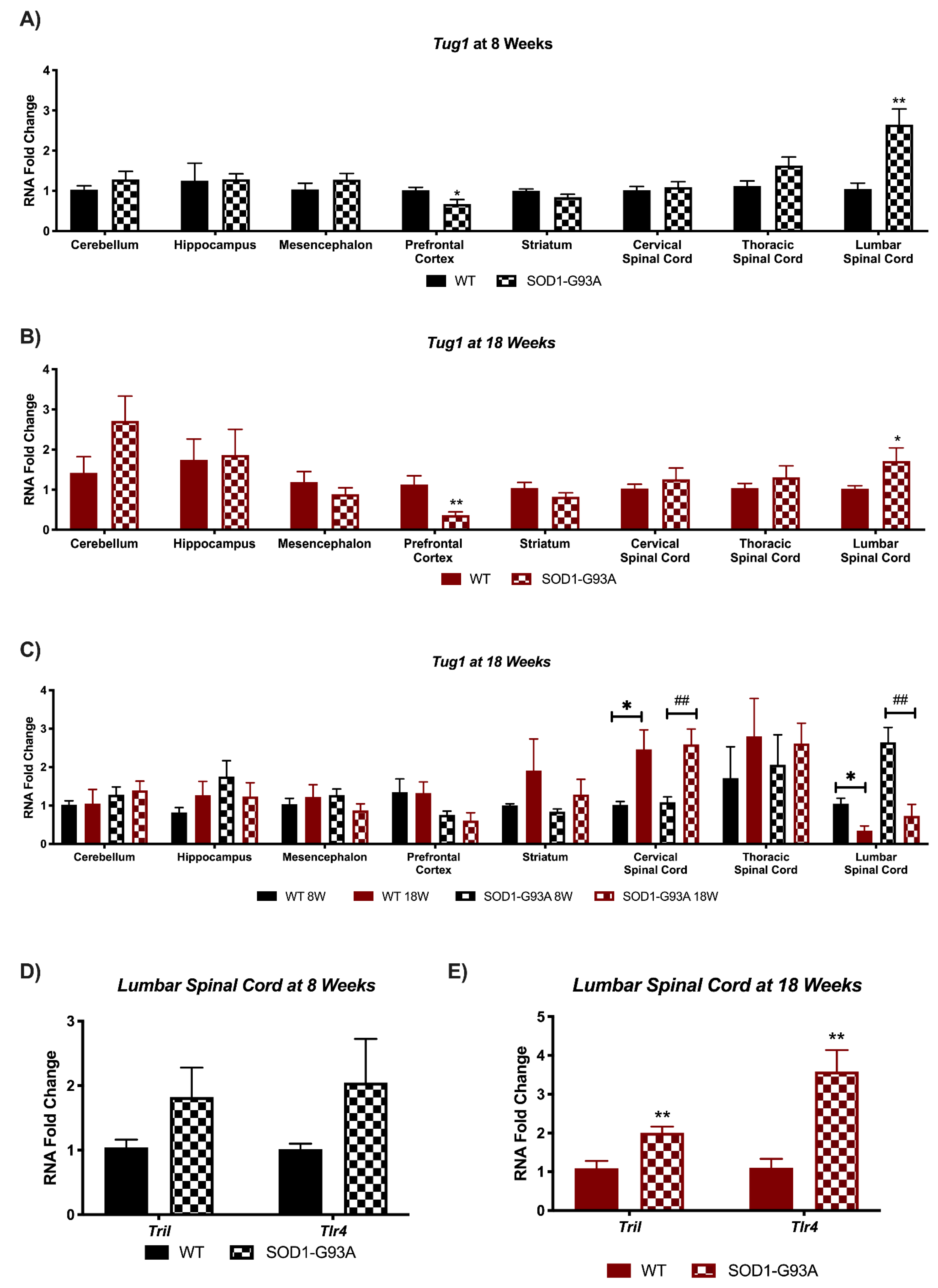 Biomedicines 09 00809 g004