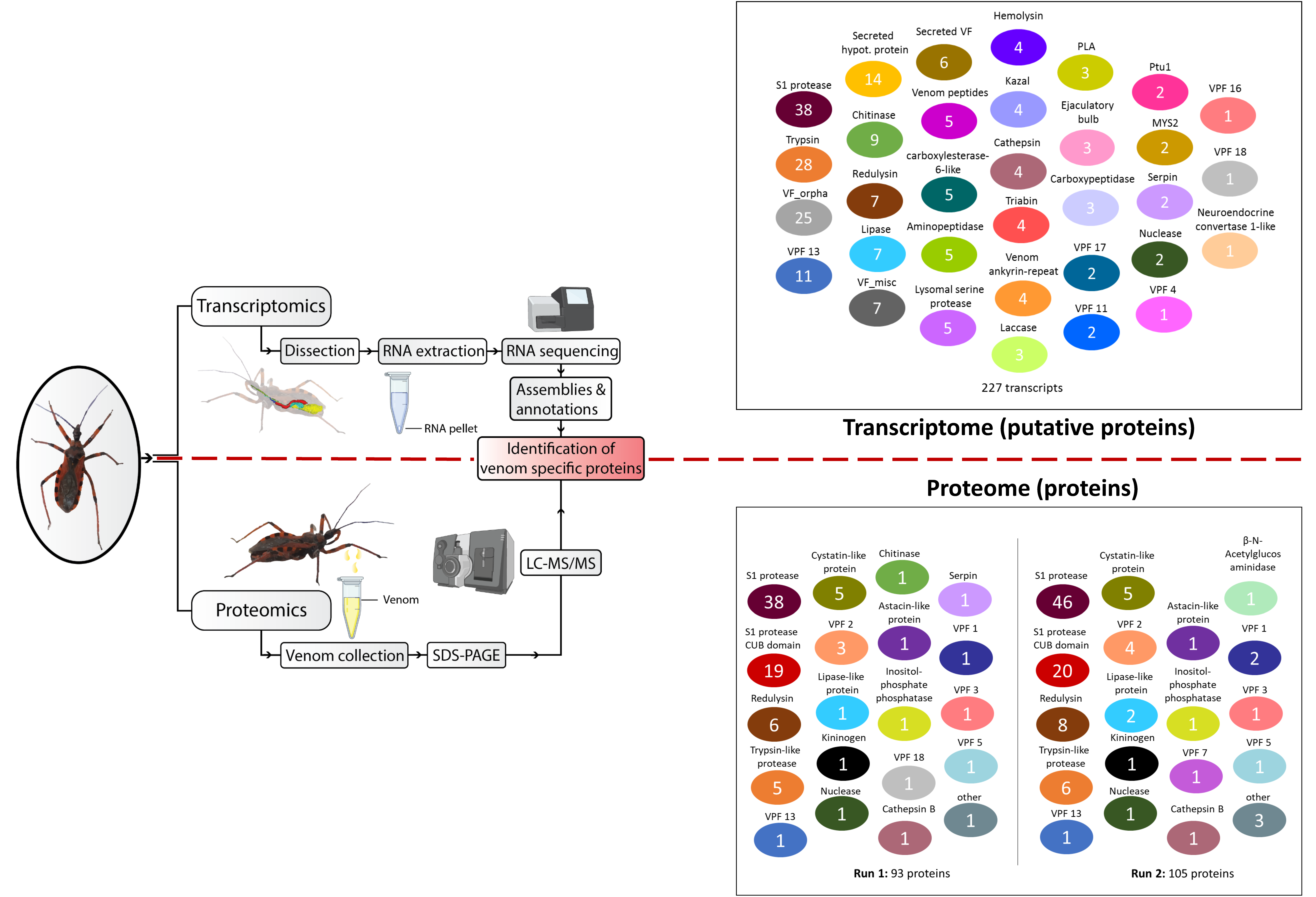 Biomedicines 09 00819 g008