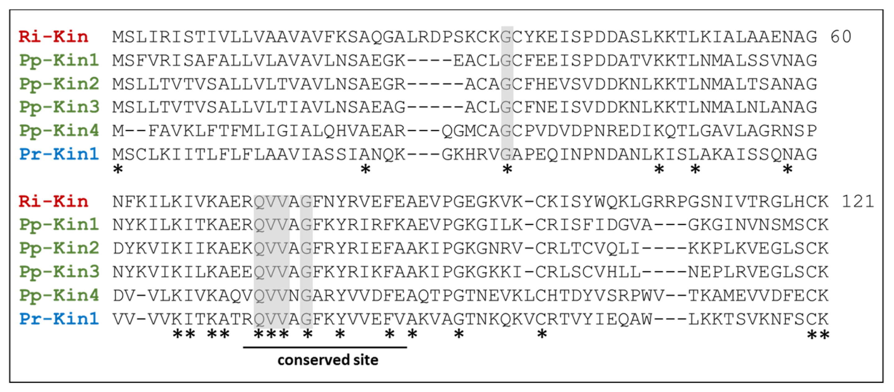 Biomedicines 09 00819 g010