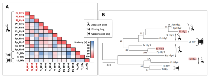 Biomedicines 09 00819 g012