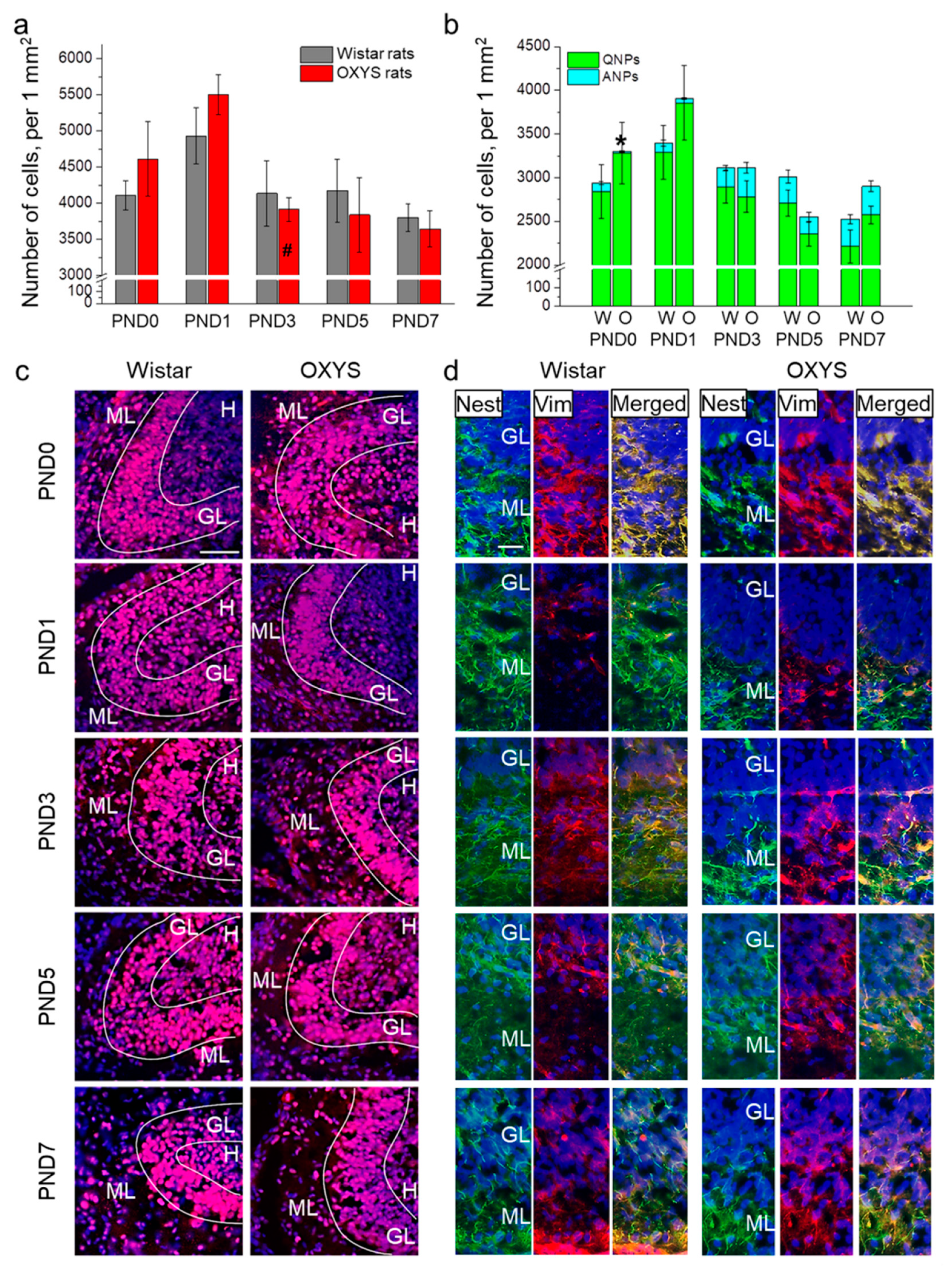 Biomedicines 09 00823 g001