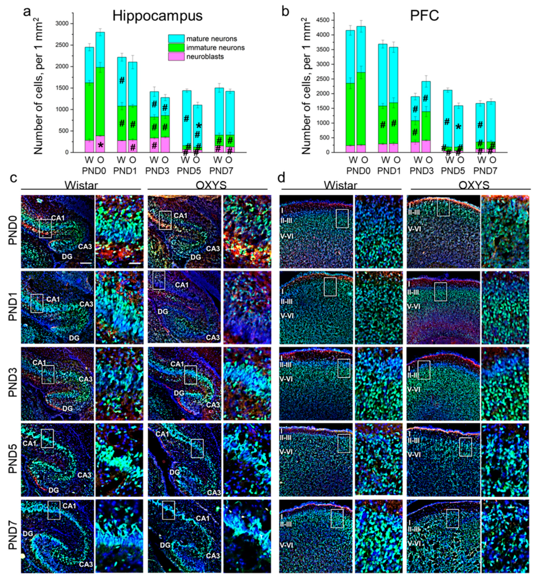 Biomedicines 09 00823 g002