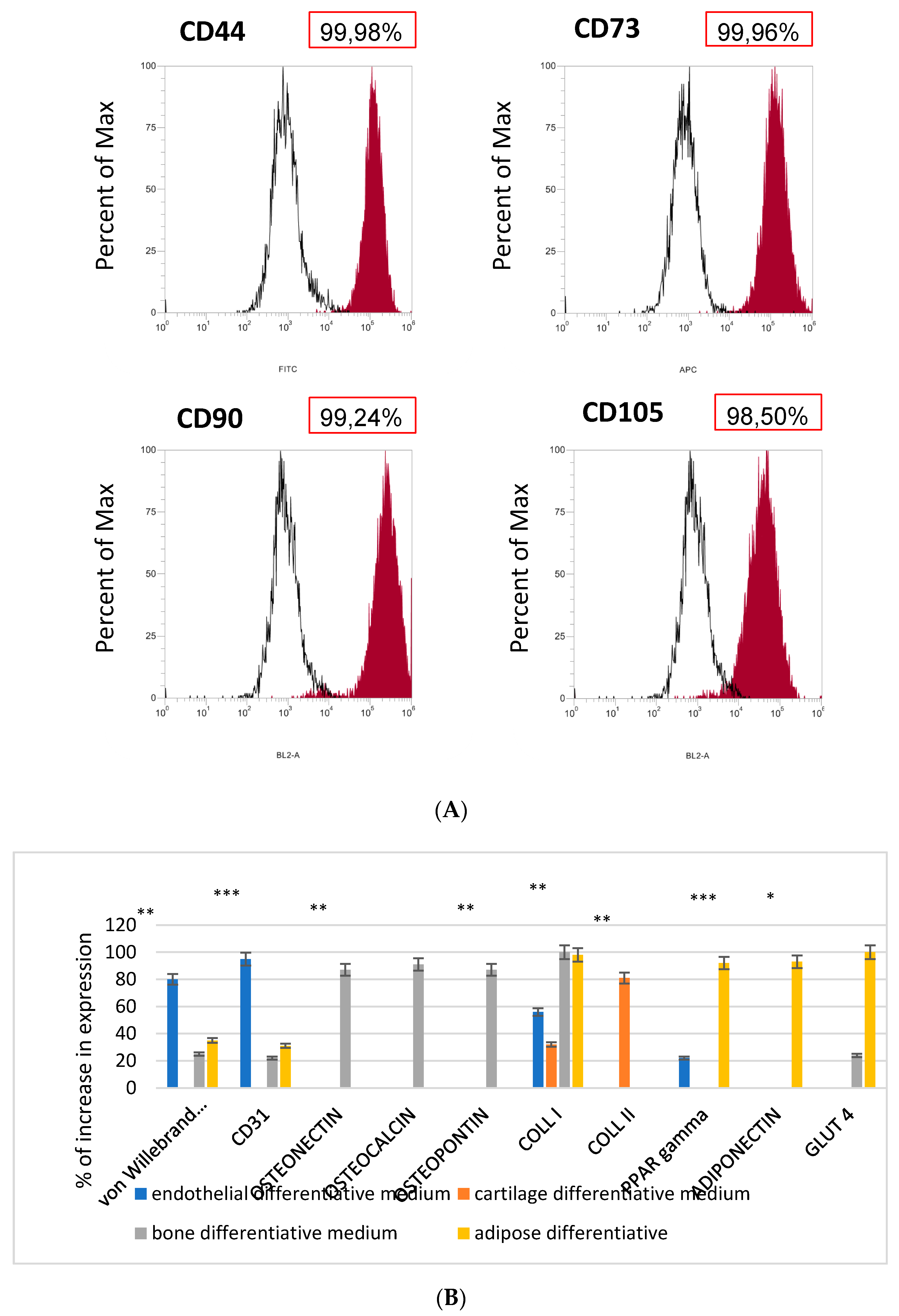 Biomedicines 09 00824 g001