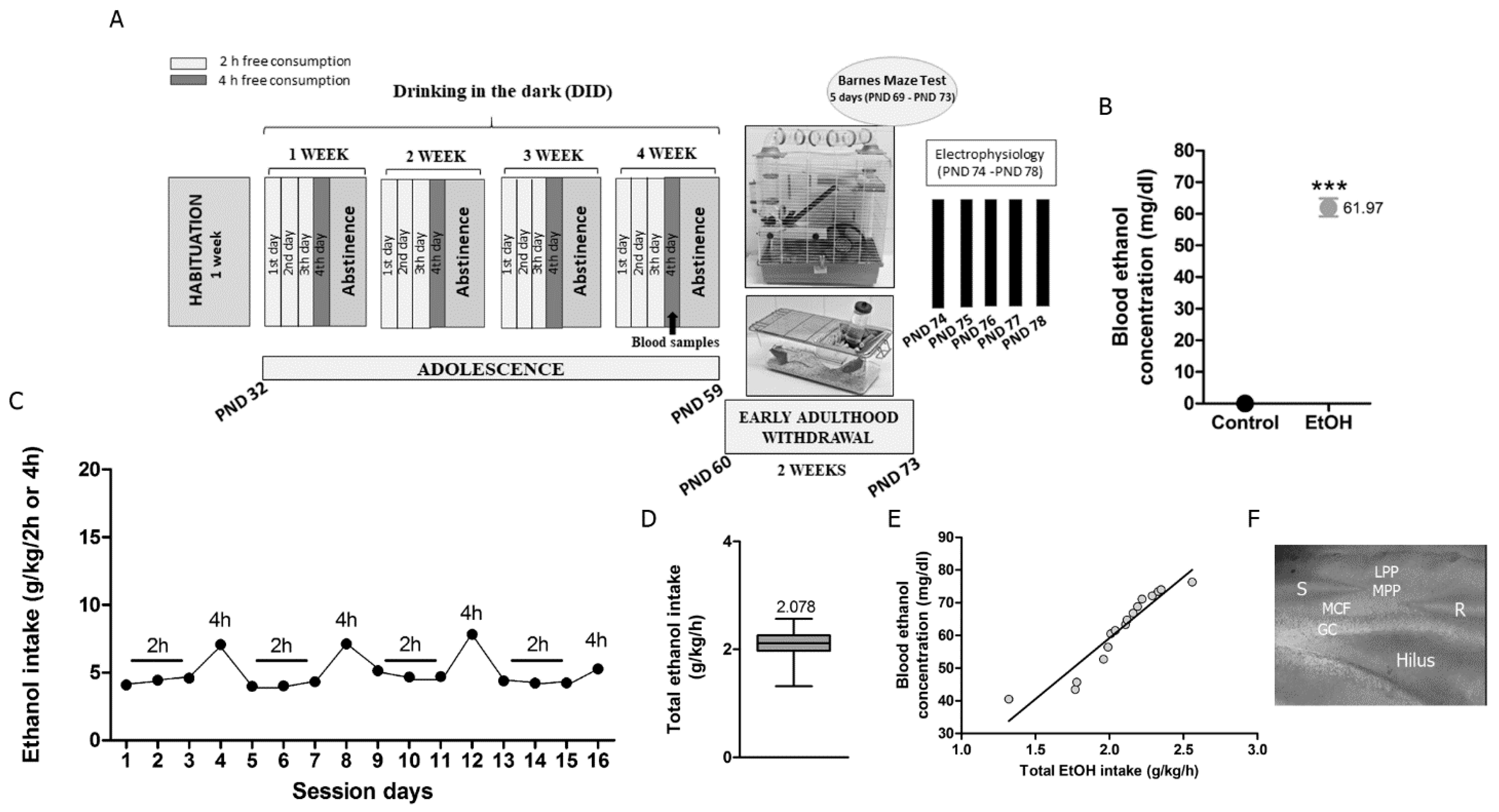 Biomedicines 09 00825 g001