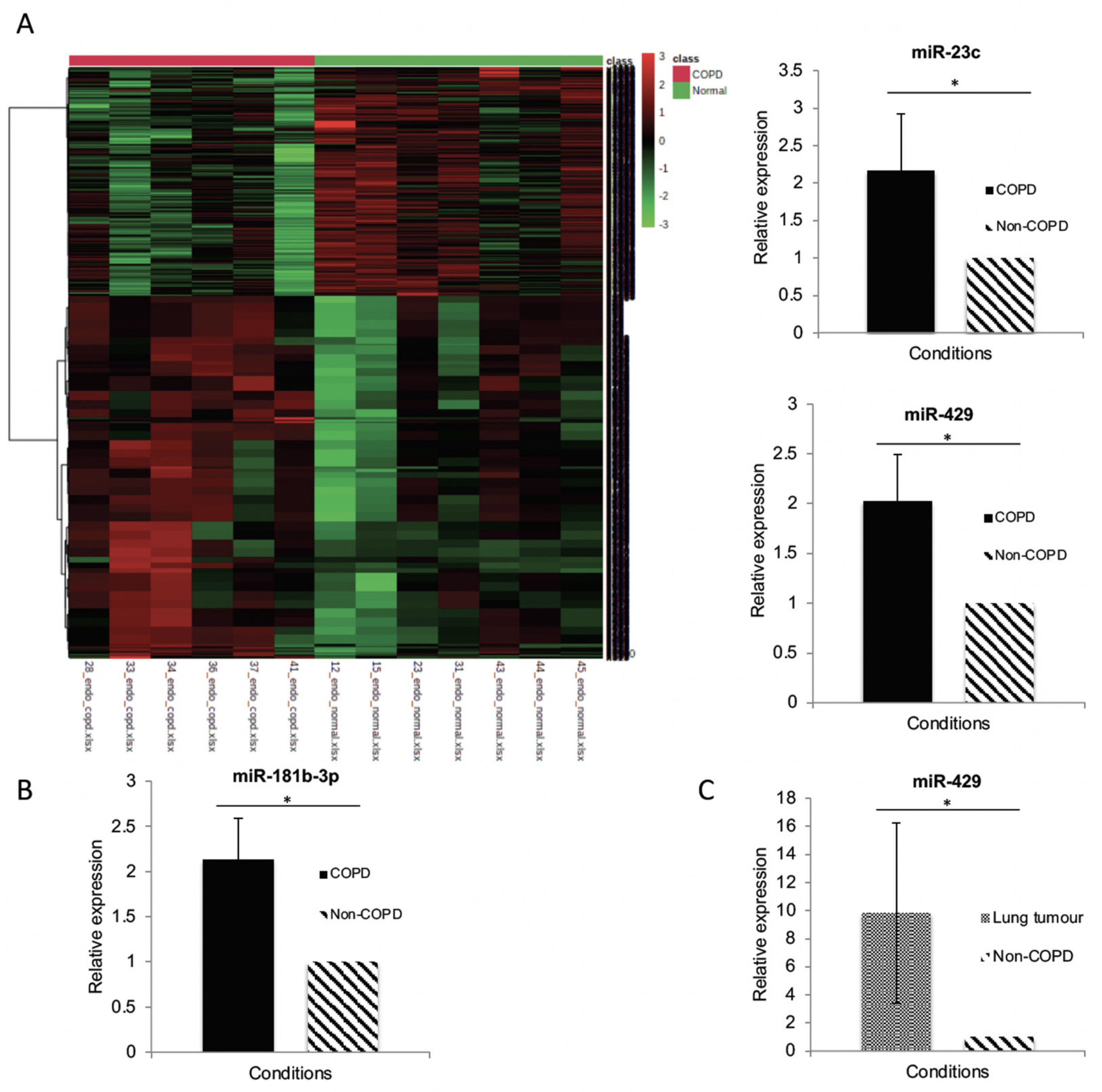Biomedicines 09 00830 g002