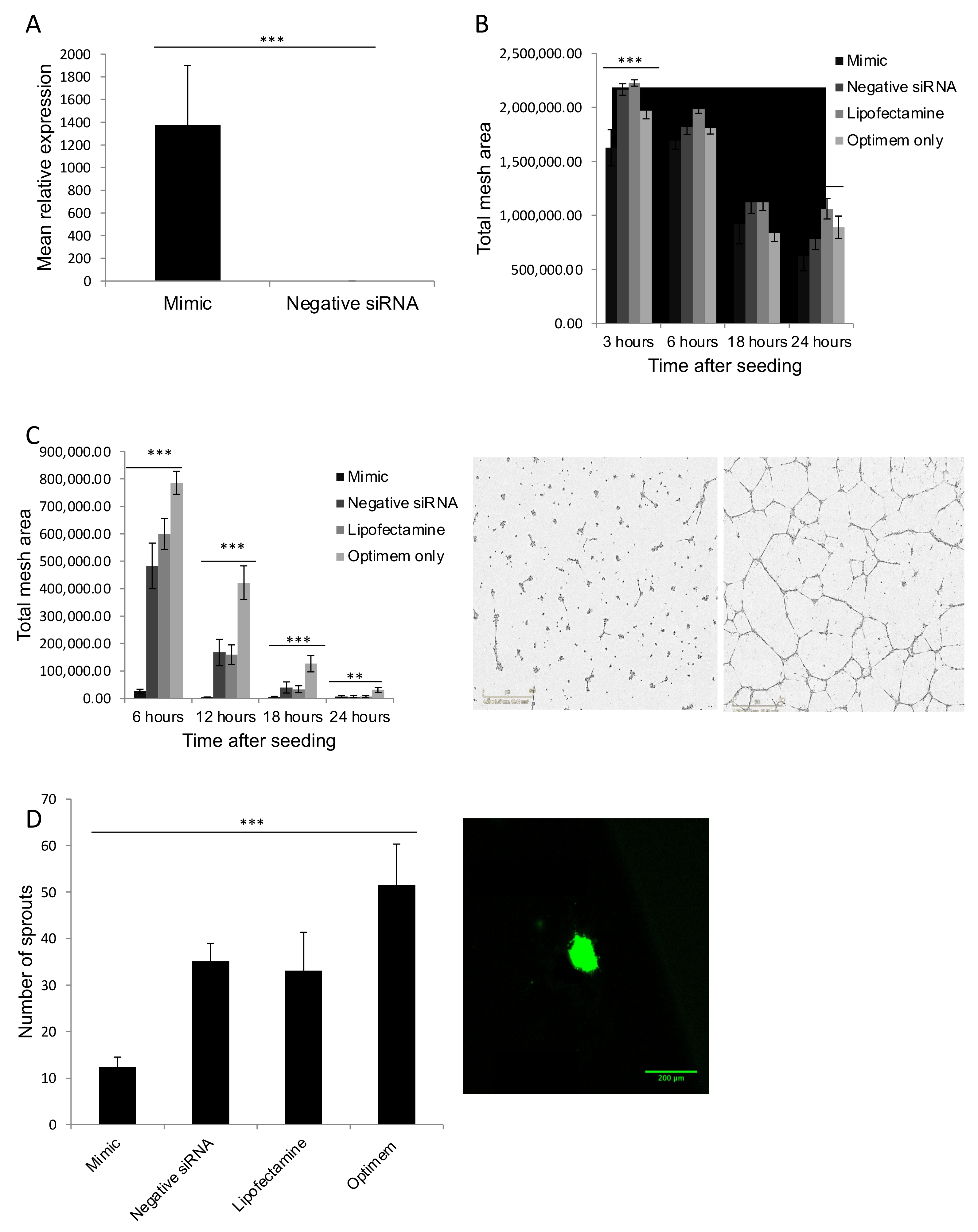 Biomedicines 09 00830 g003