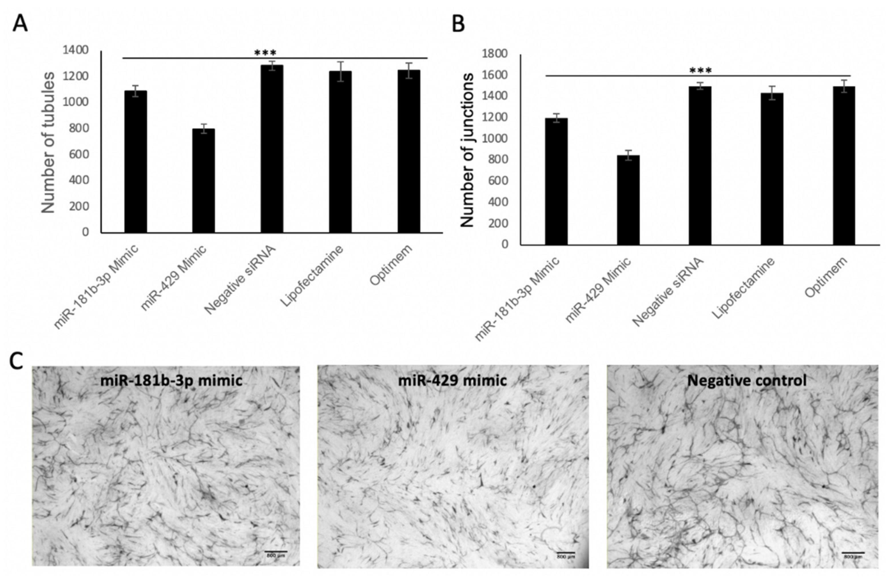 Biomedicines 09 00830 g004