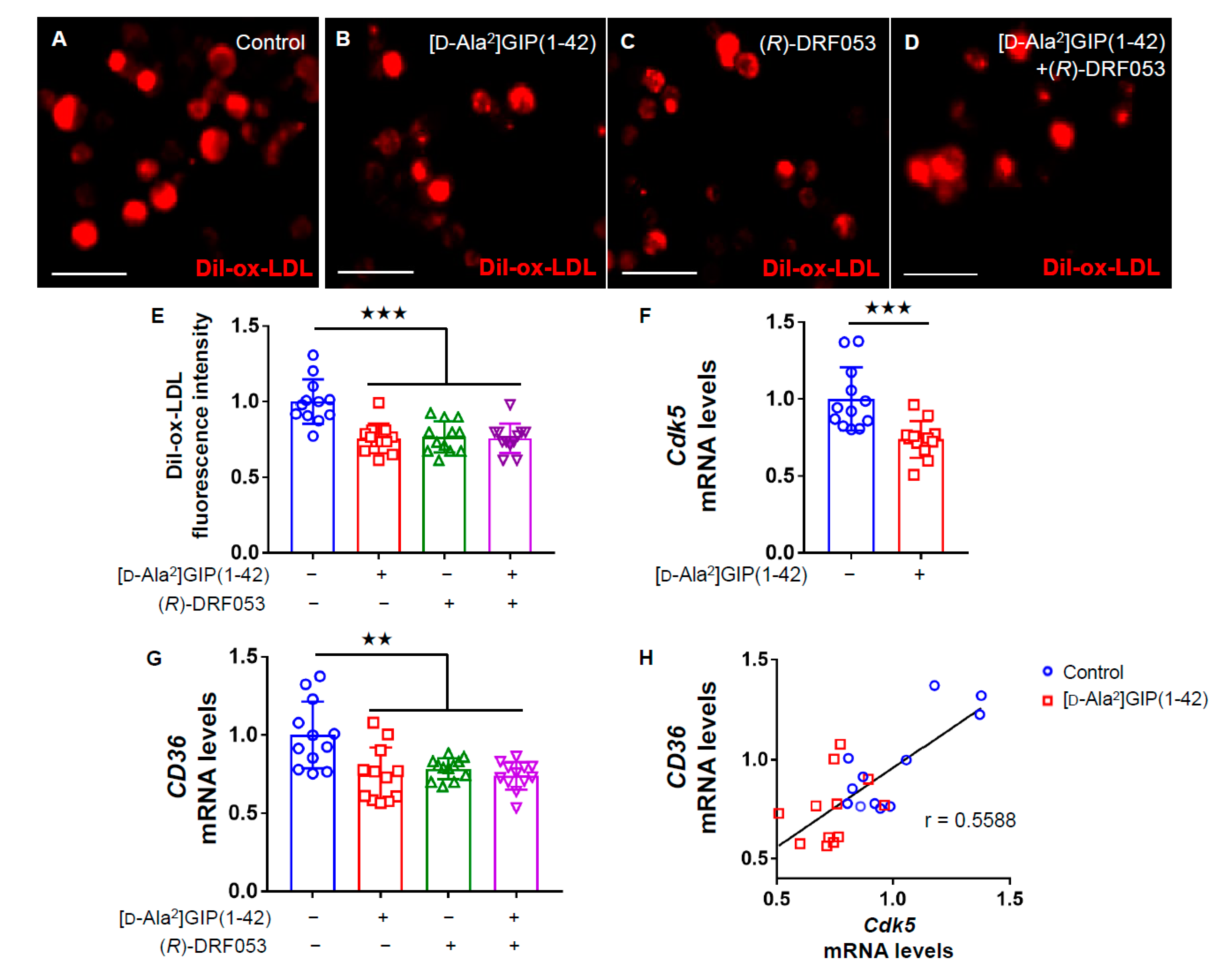 Biomedicines 09 00832 g002