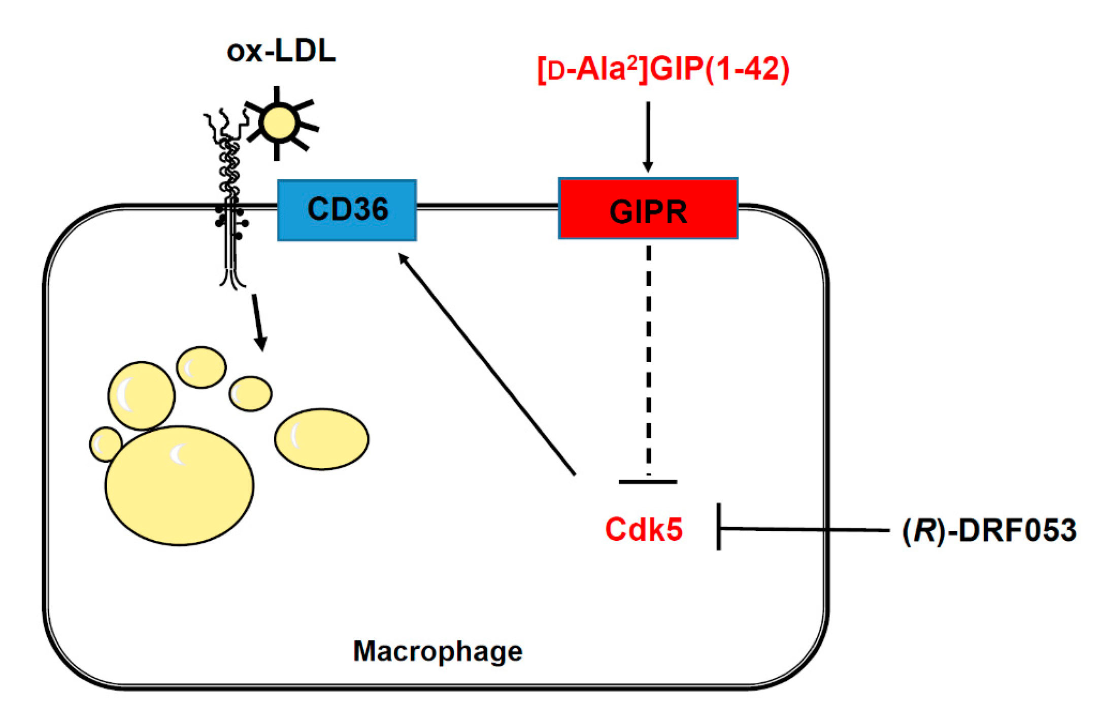 Biomedicines 09 00832 g003