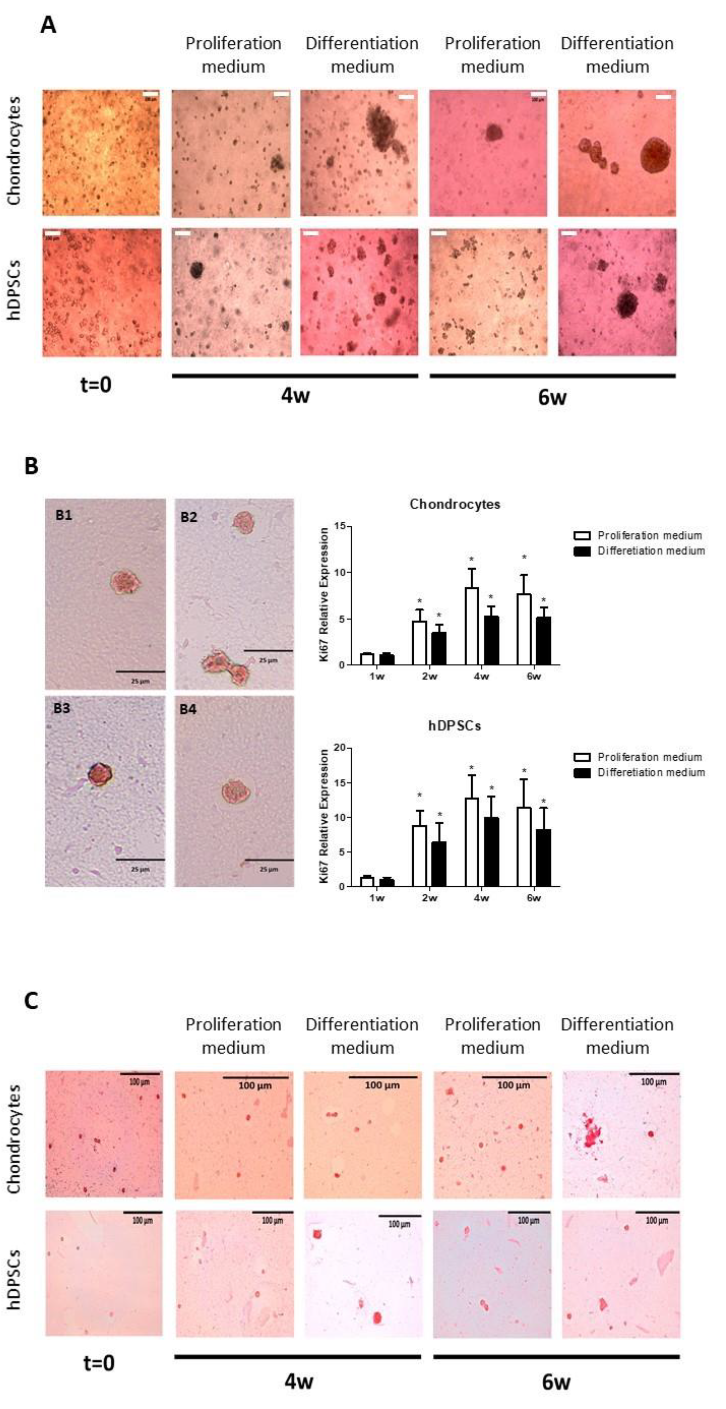 Biomedicines 09 00834 g004
