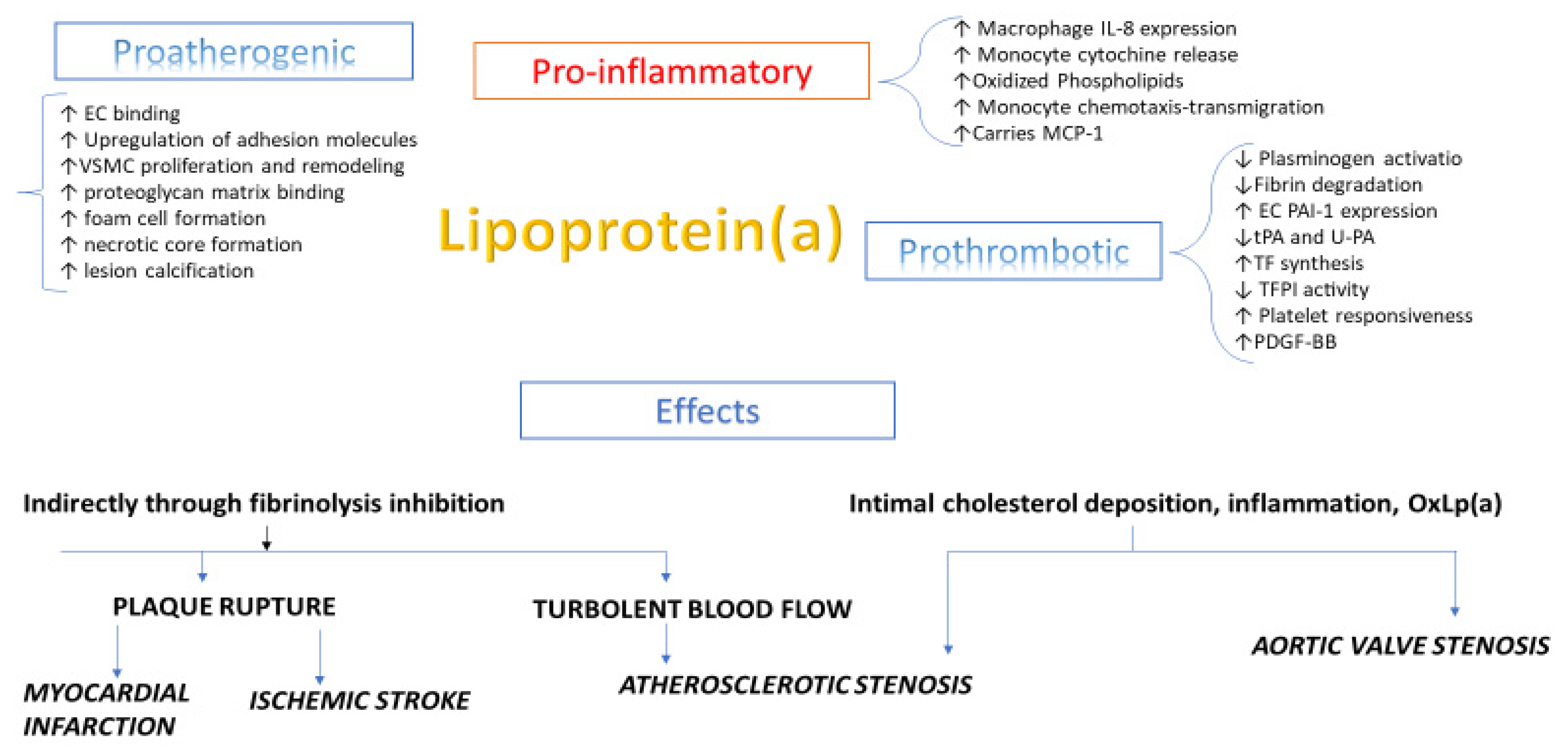 Biomedicines 09 00838 g001