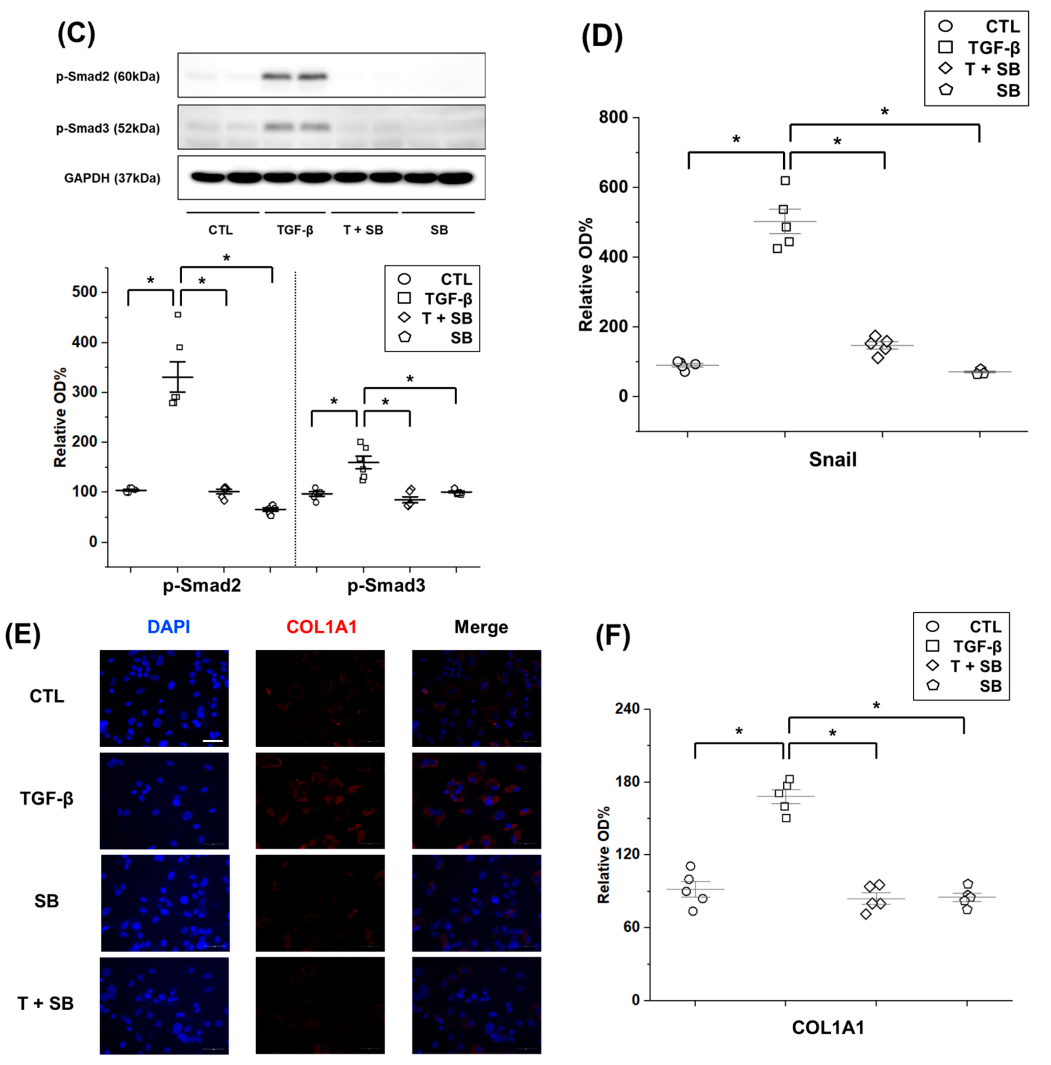 Biomedicines 09 00839 g003b