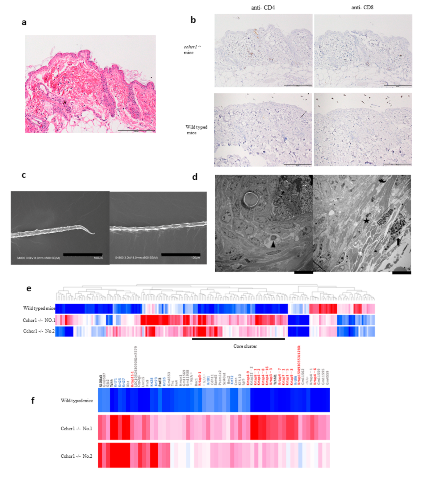 Biomedicines 09 00840 g003