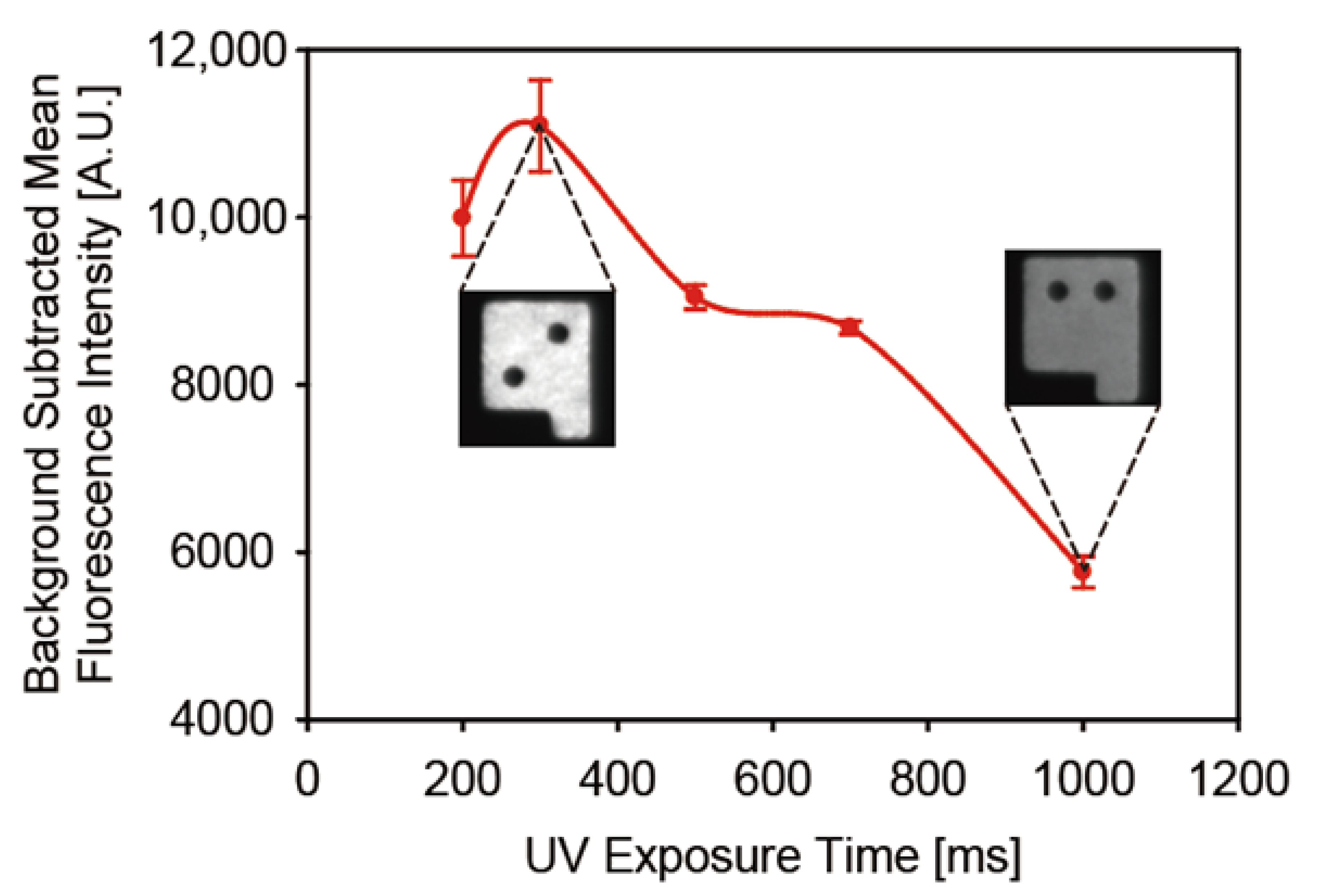 Biomedicines 09 00848 g003 Biomedicines 09 00848 g003