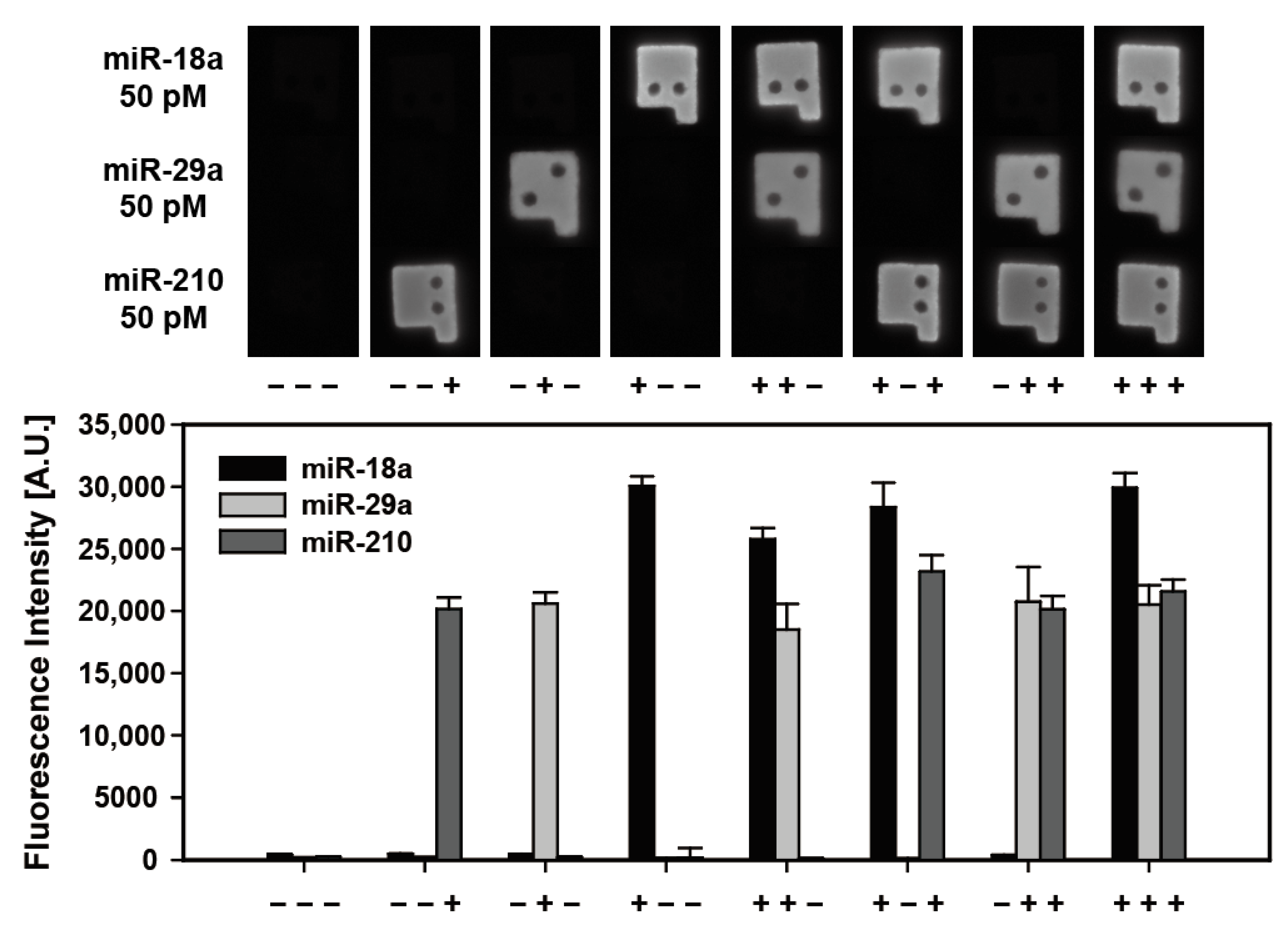 Biomedicines 09 00848 g005 Biomedicines 09 00848 g005