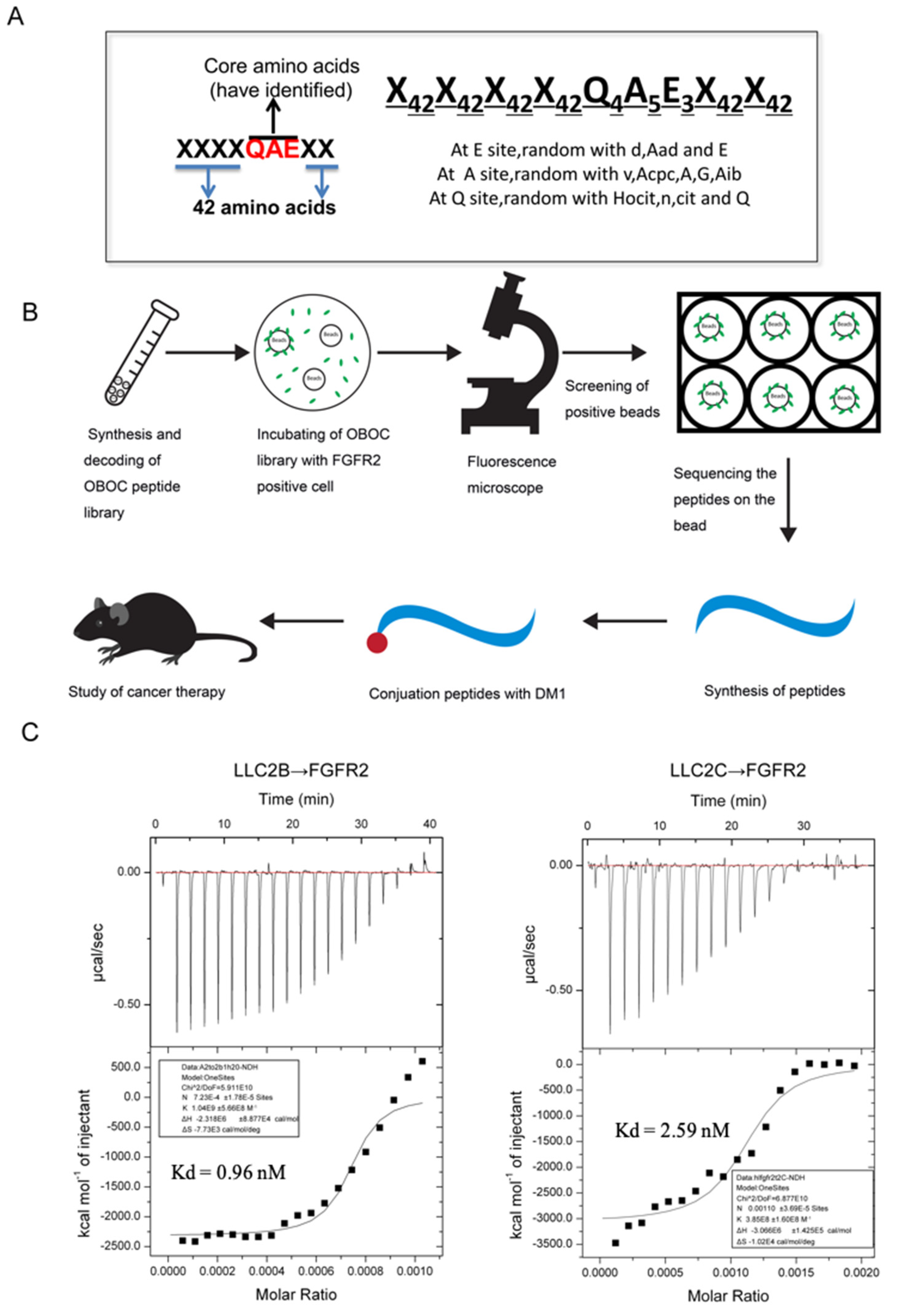 Biomedicines 09 00849 g001