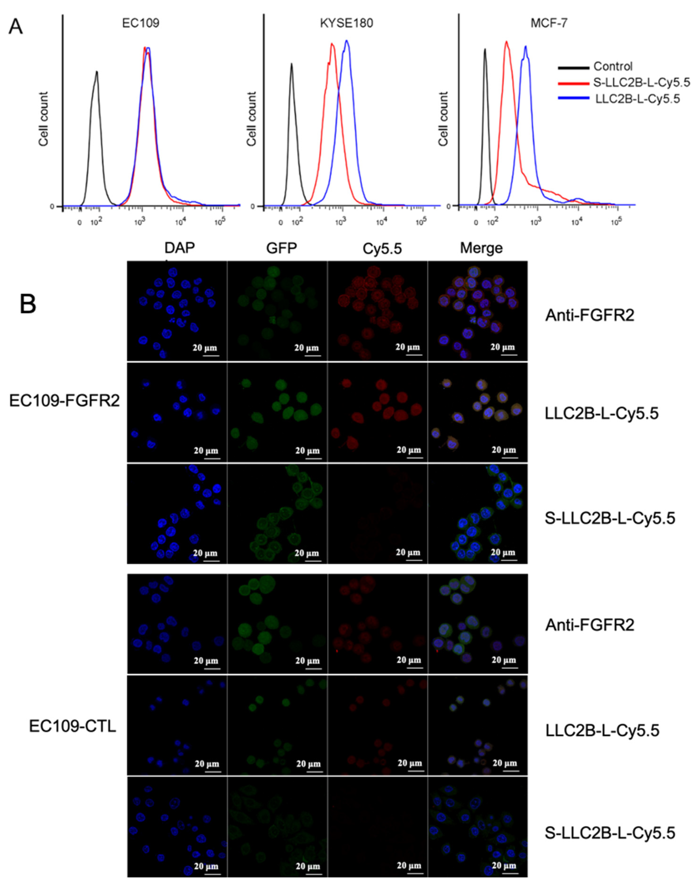 Biomedicines 09 00849 g002