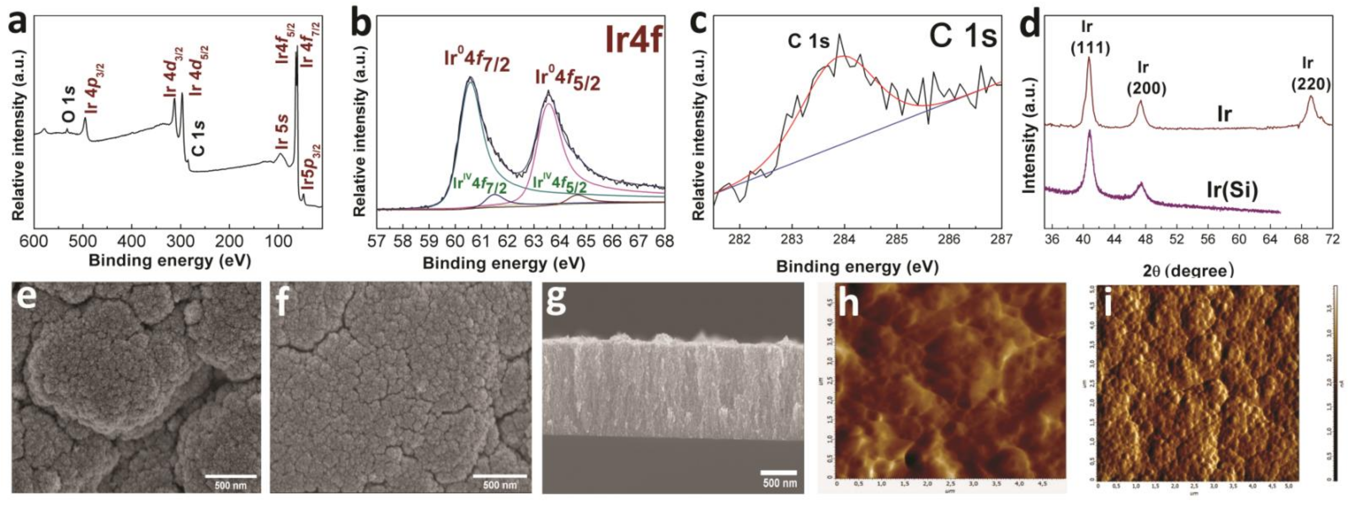 Biomedicines 09 00851 g001
