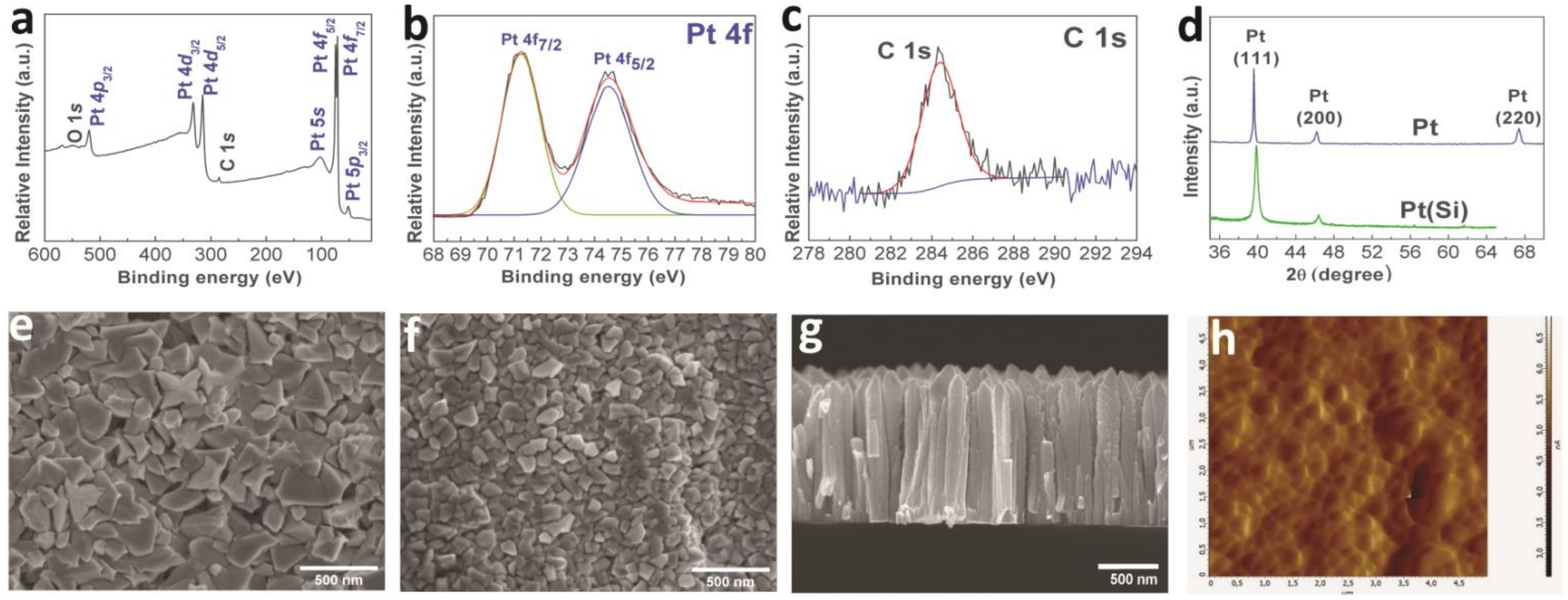 Biomedicines 09 00851 g002