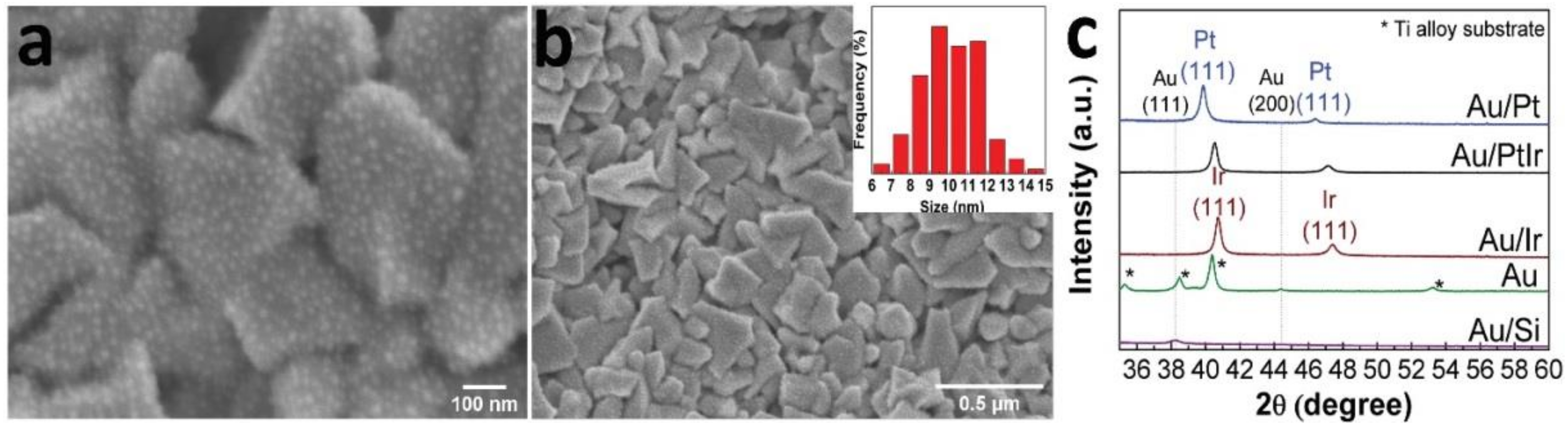 Biomedicines 09 00851 g005