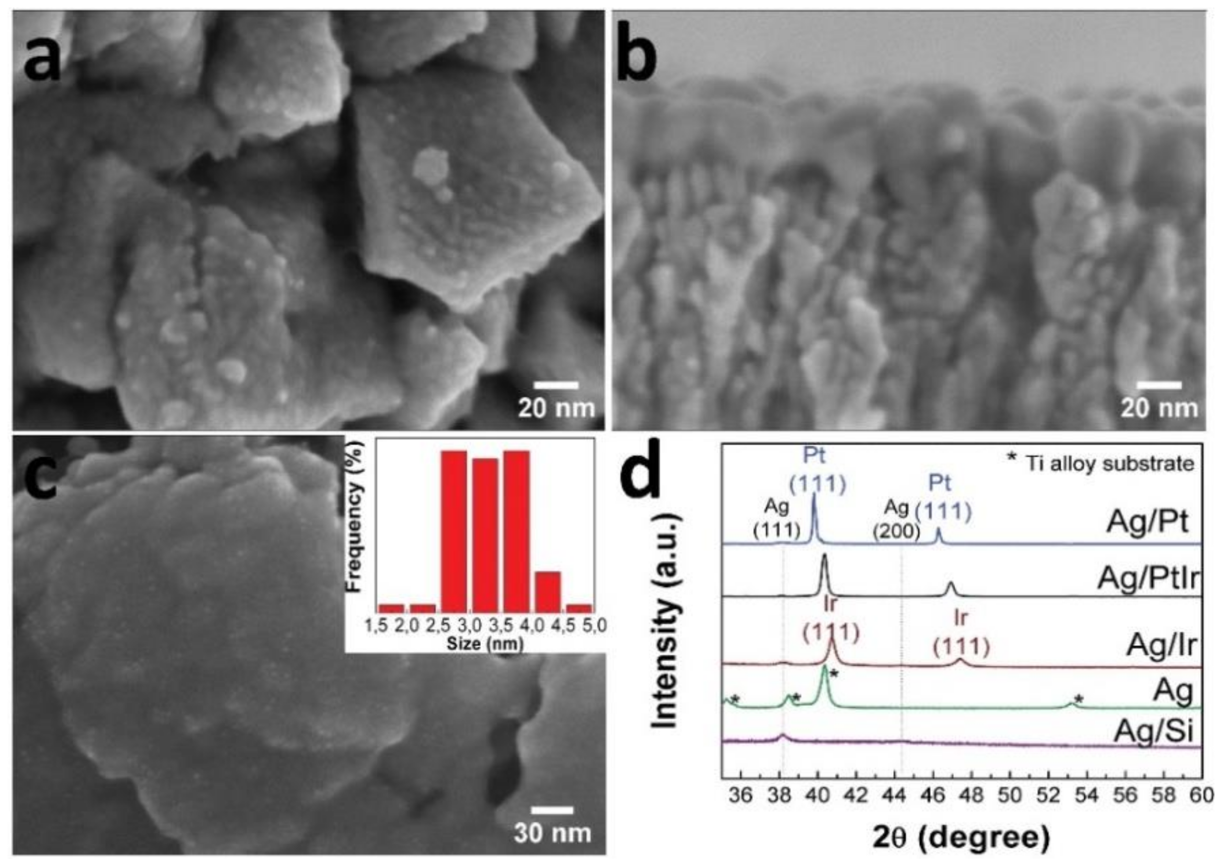 Biomedicines 09 00851 g006