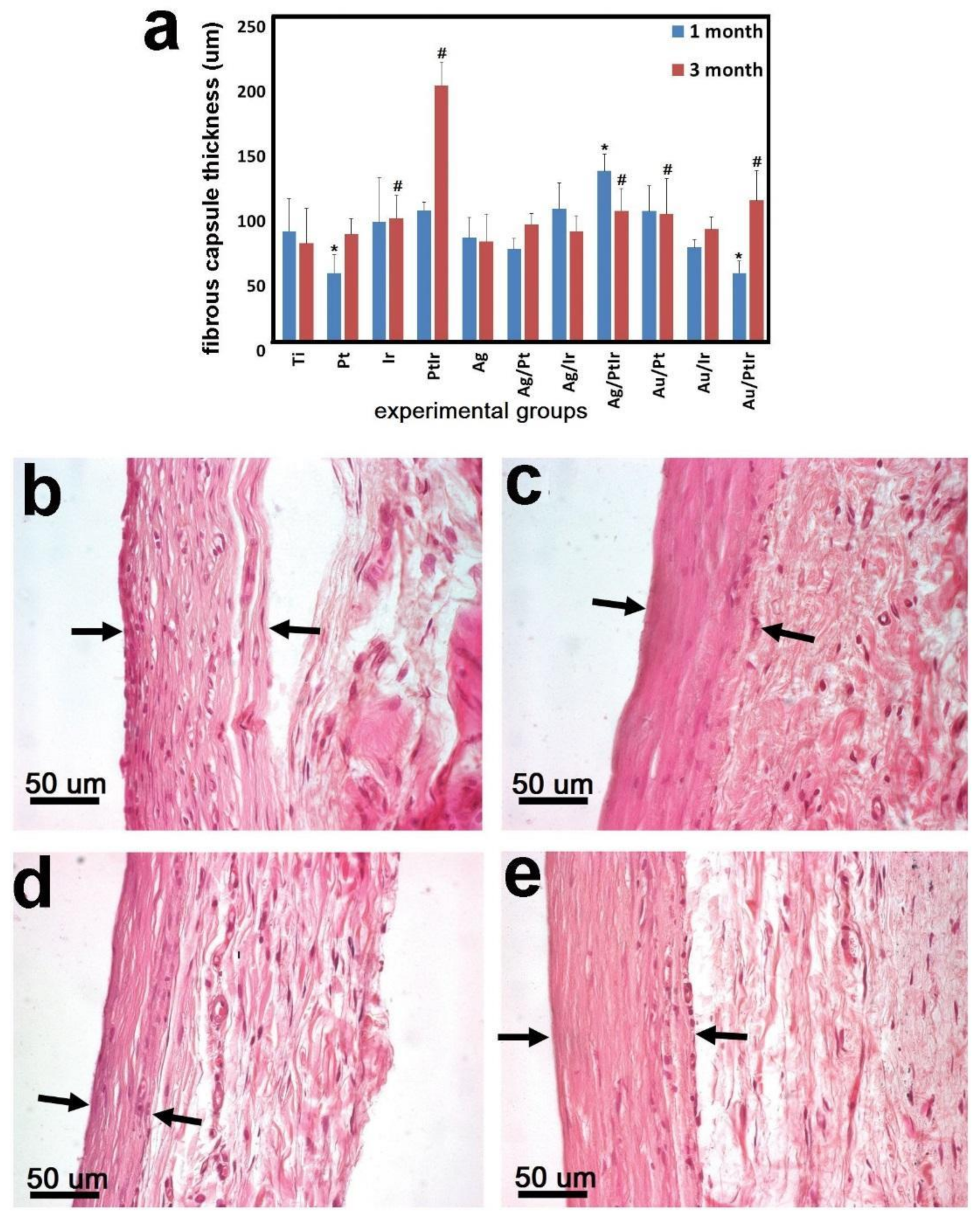 Biomedicines 09 00851 g011