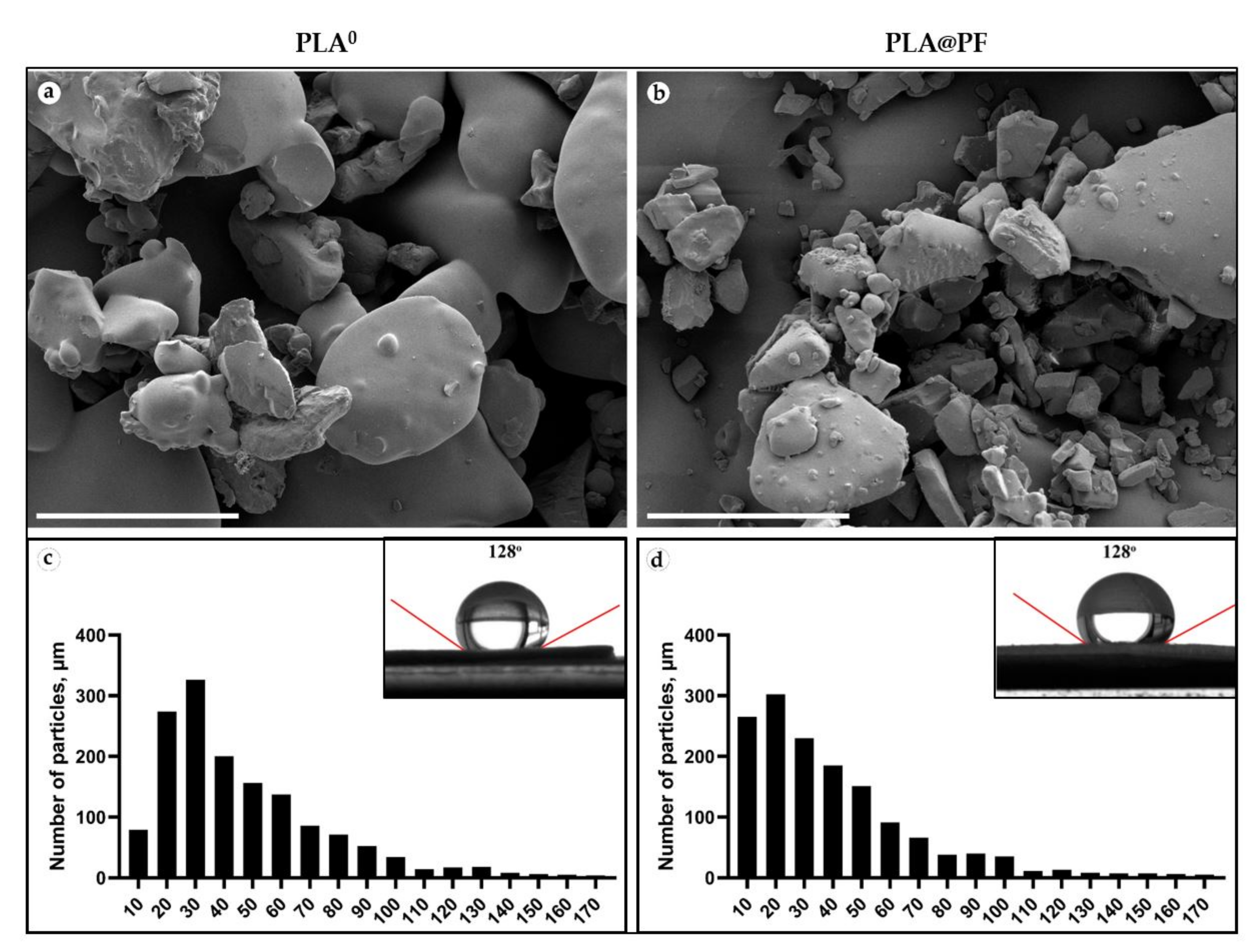 Biomedicines 09 00853 g001