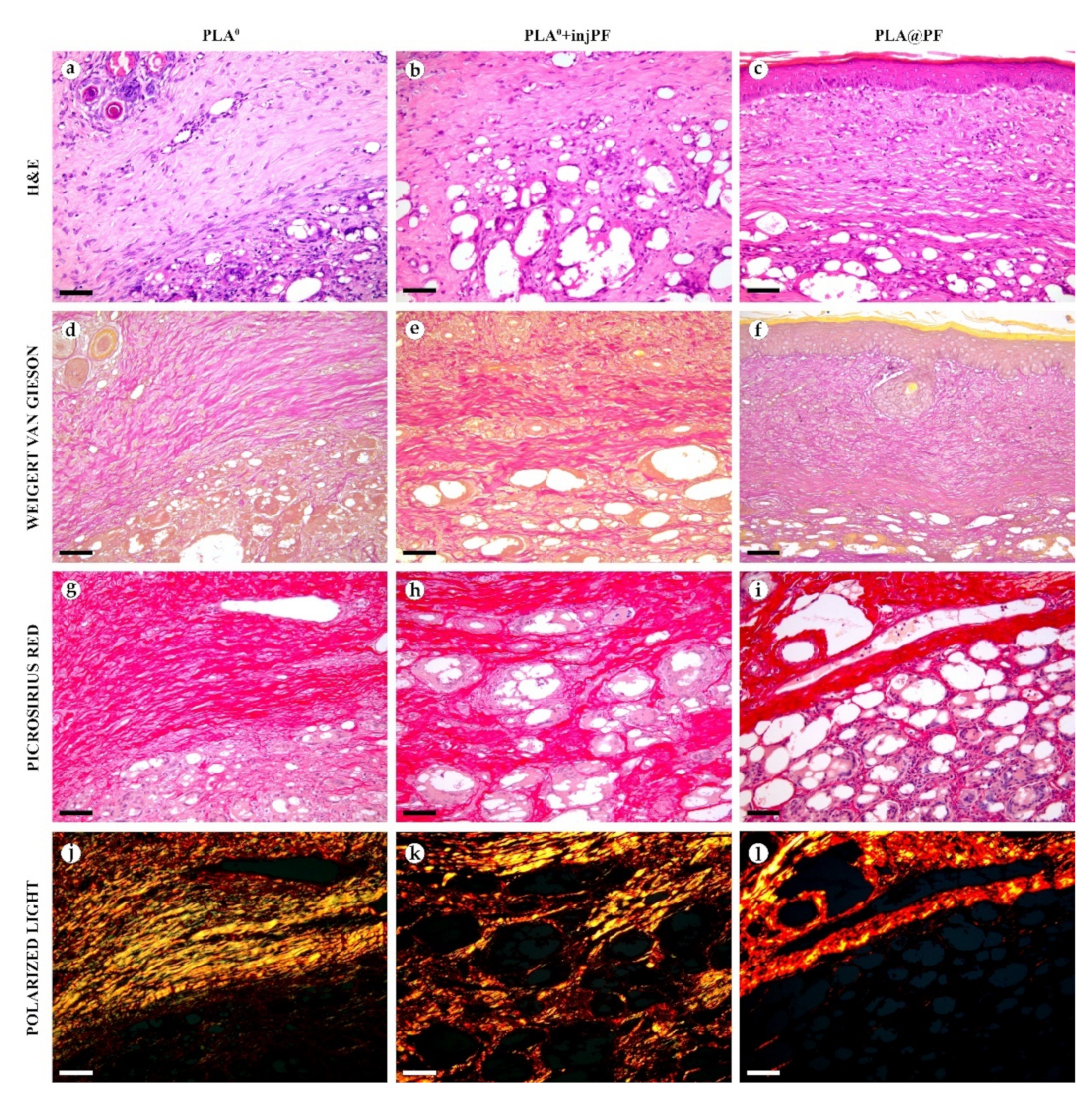 Biomedicines 09 00853 g005
