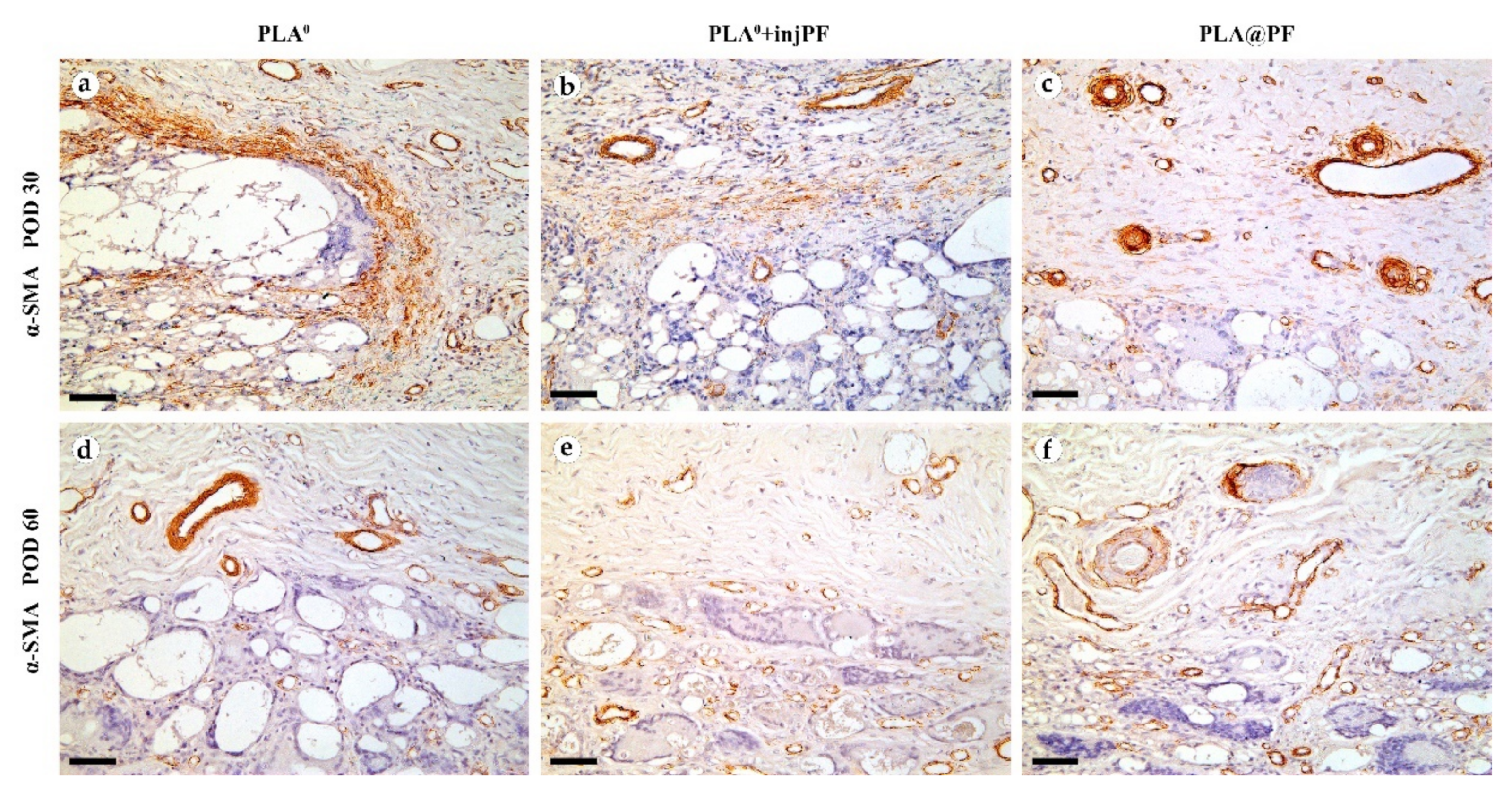 Biomedicines 09 00853 g008