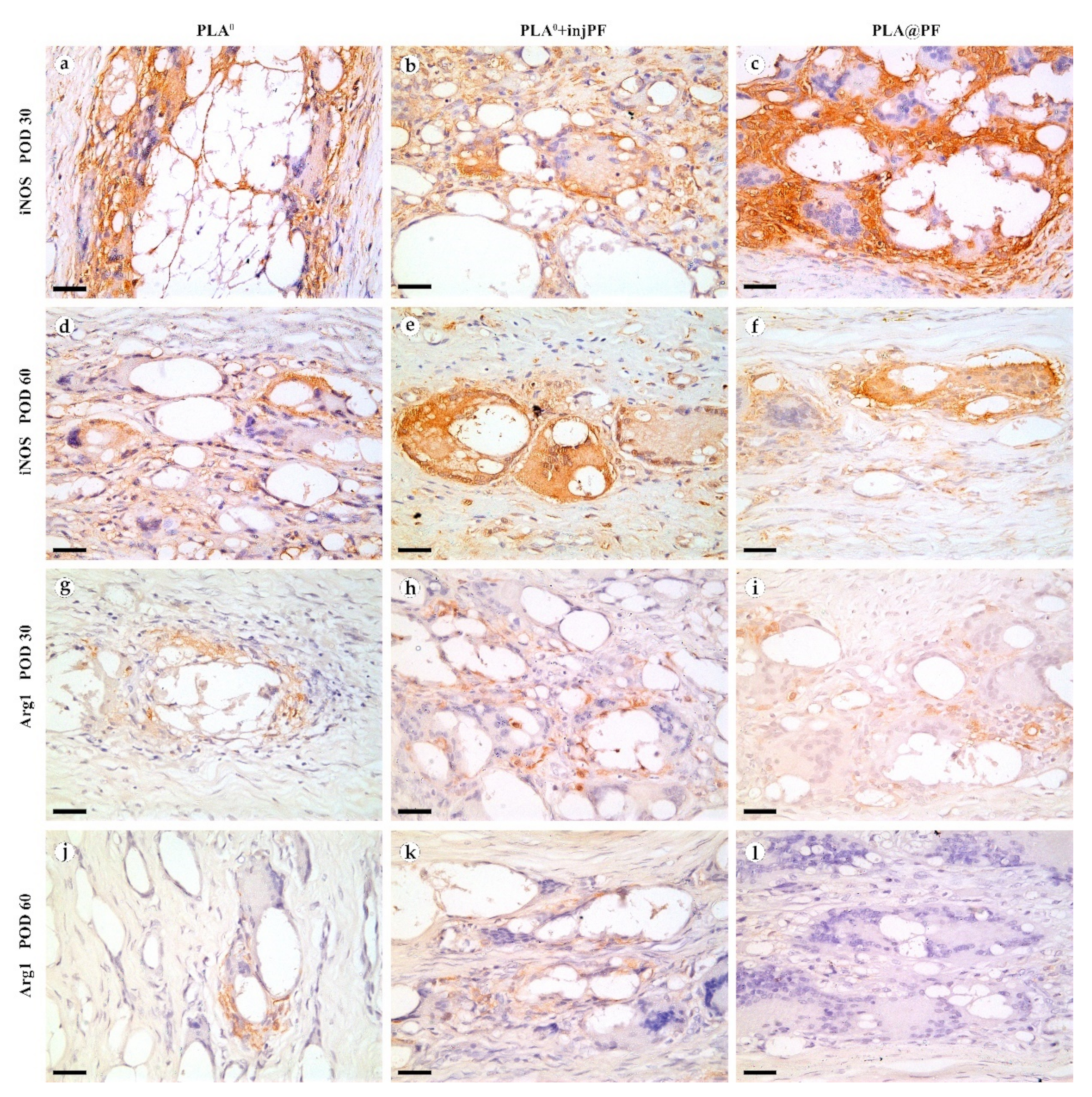 Biomedicines 09 00853 g009